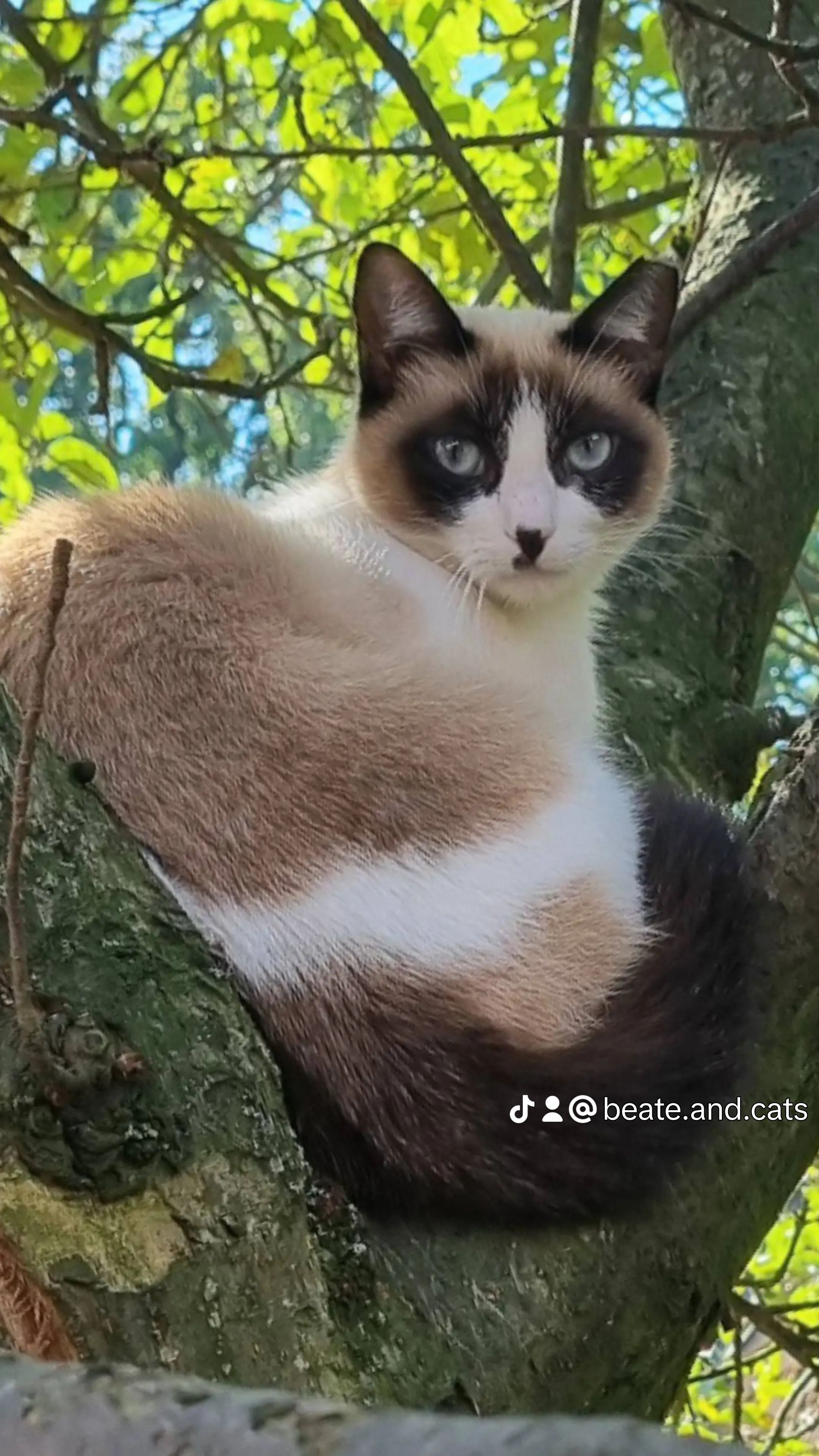 Minou - Weingartenstraße, Nandlstadt