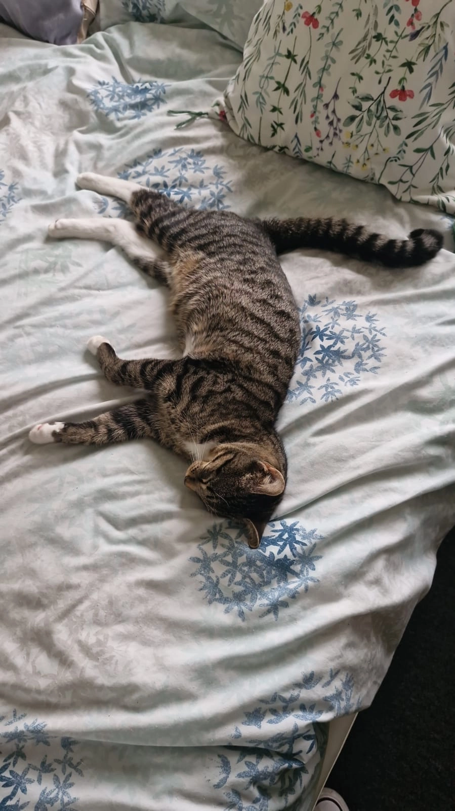 Tilly - Lancaster Place, Telford