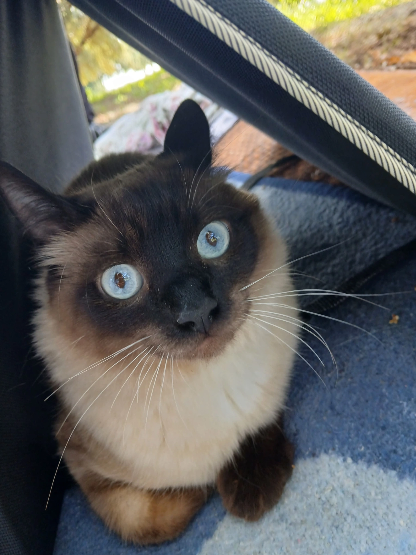 Withoout name - شارع القوات المسلحة الملكية, بني ملال