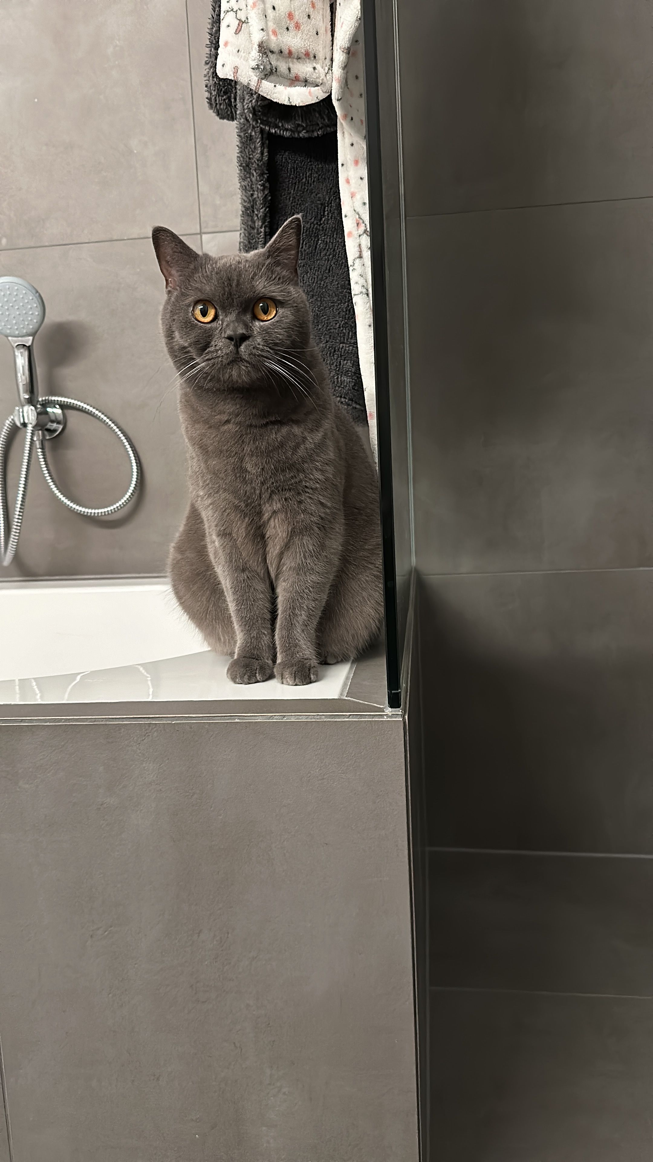 Mila - Amberger Straße, Kümmersbruck