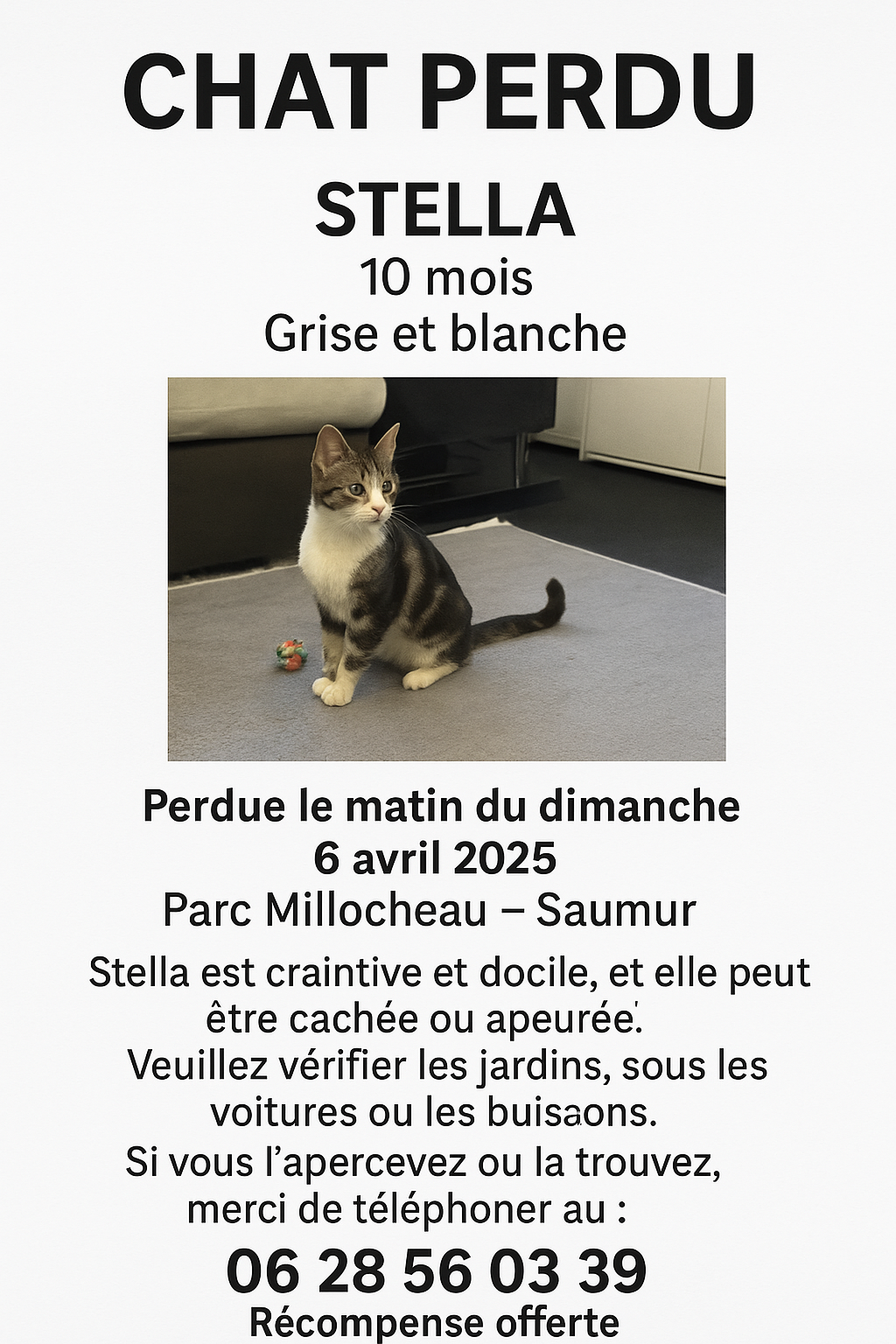 Stella  - Rue de Millocheau, Saumur