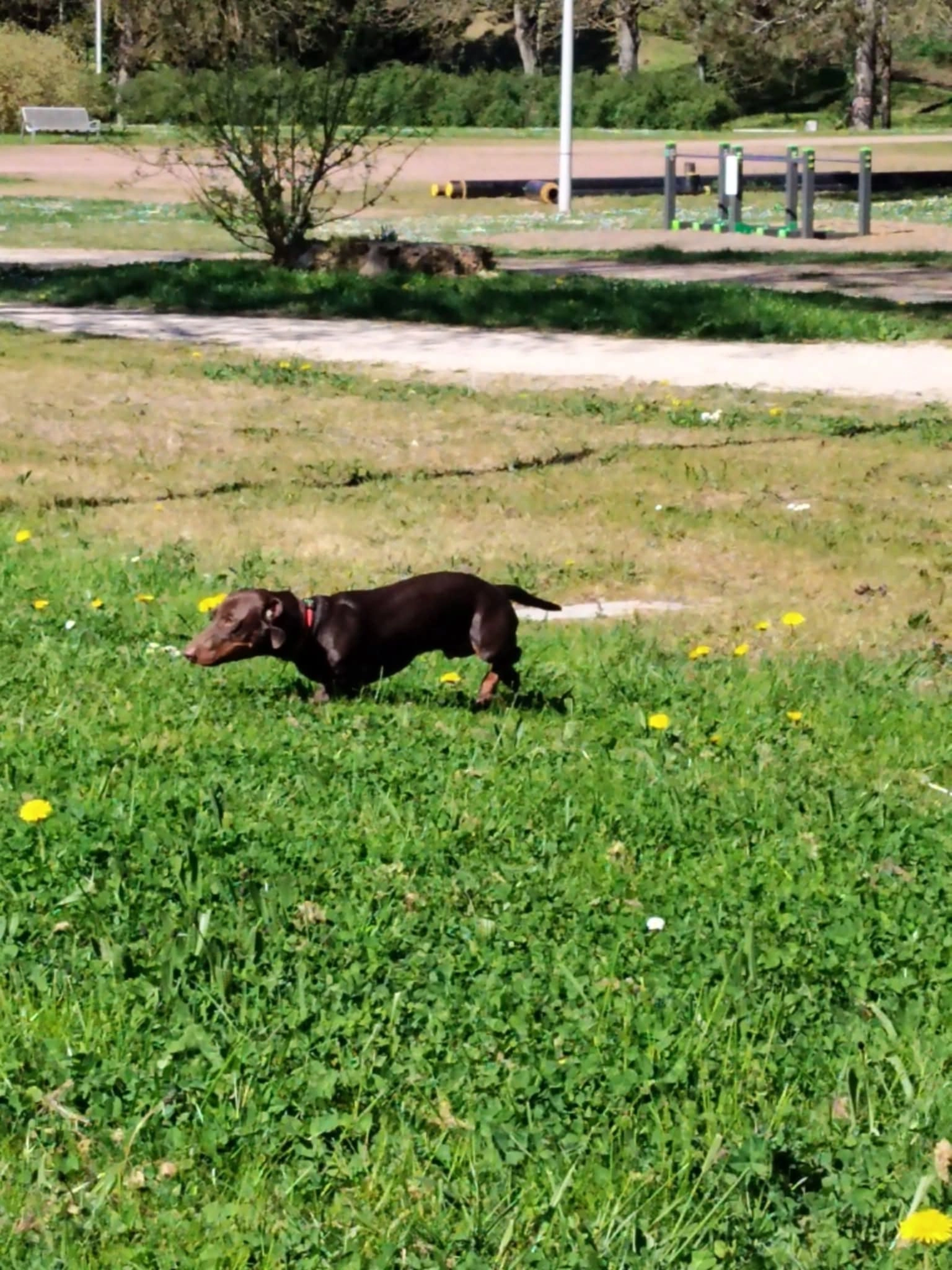 Max - Chemin De L'île Chaumette, Épervans