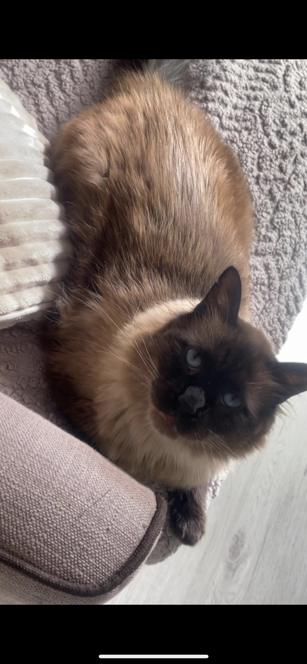 Leo  - Pontault-Combault-Straße, Beilstein