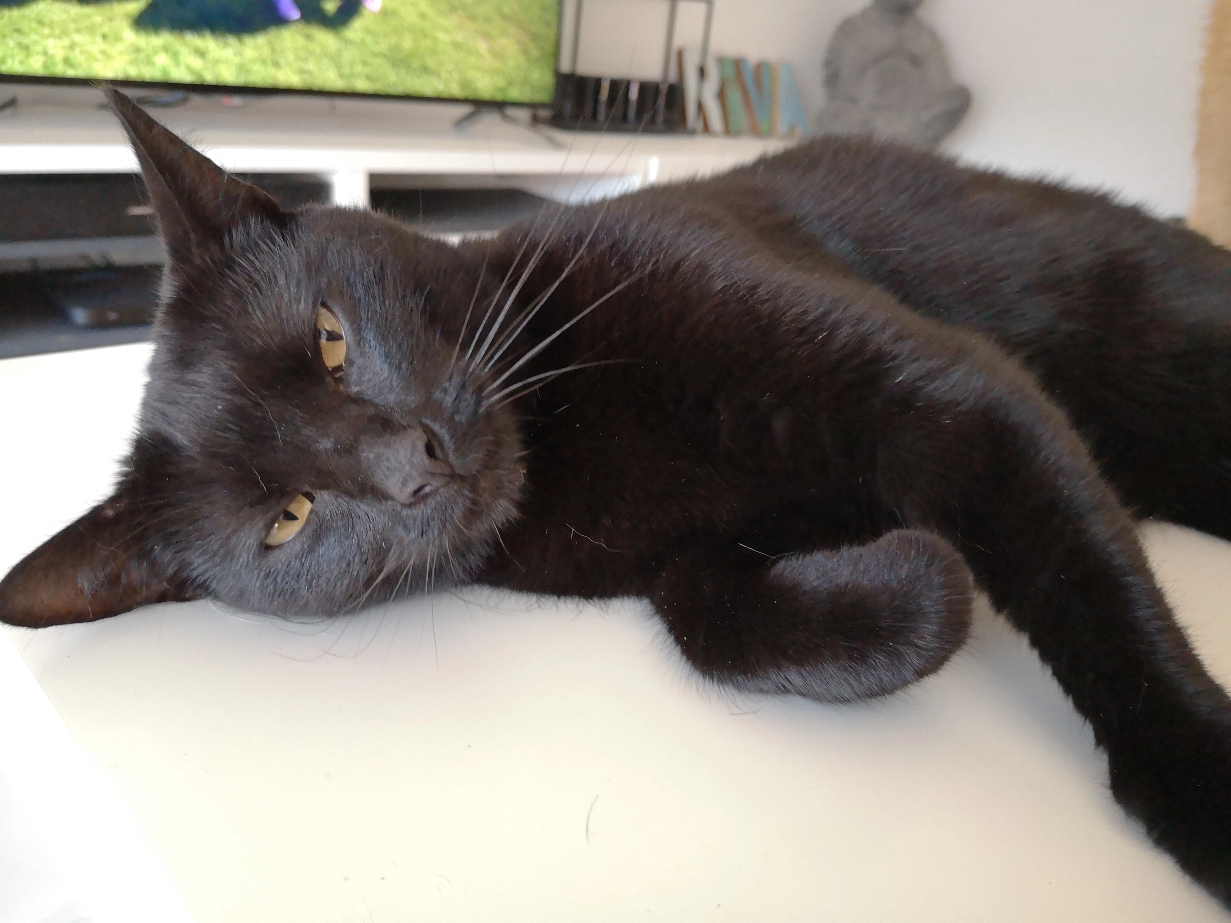 Lemmy - Mühlrather Straße, Grevenbroich