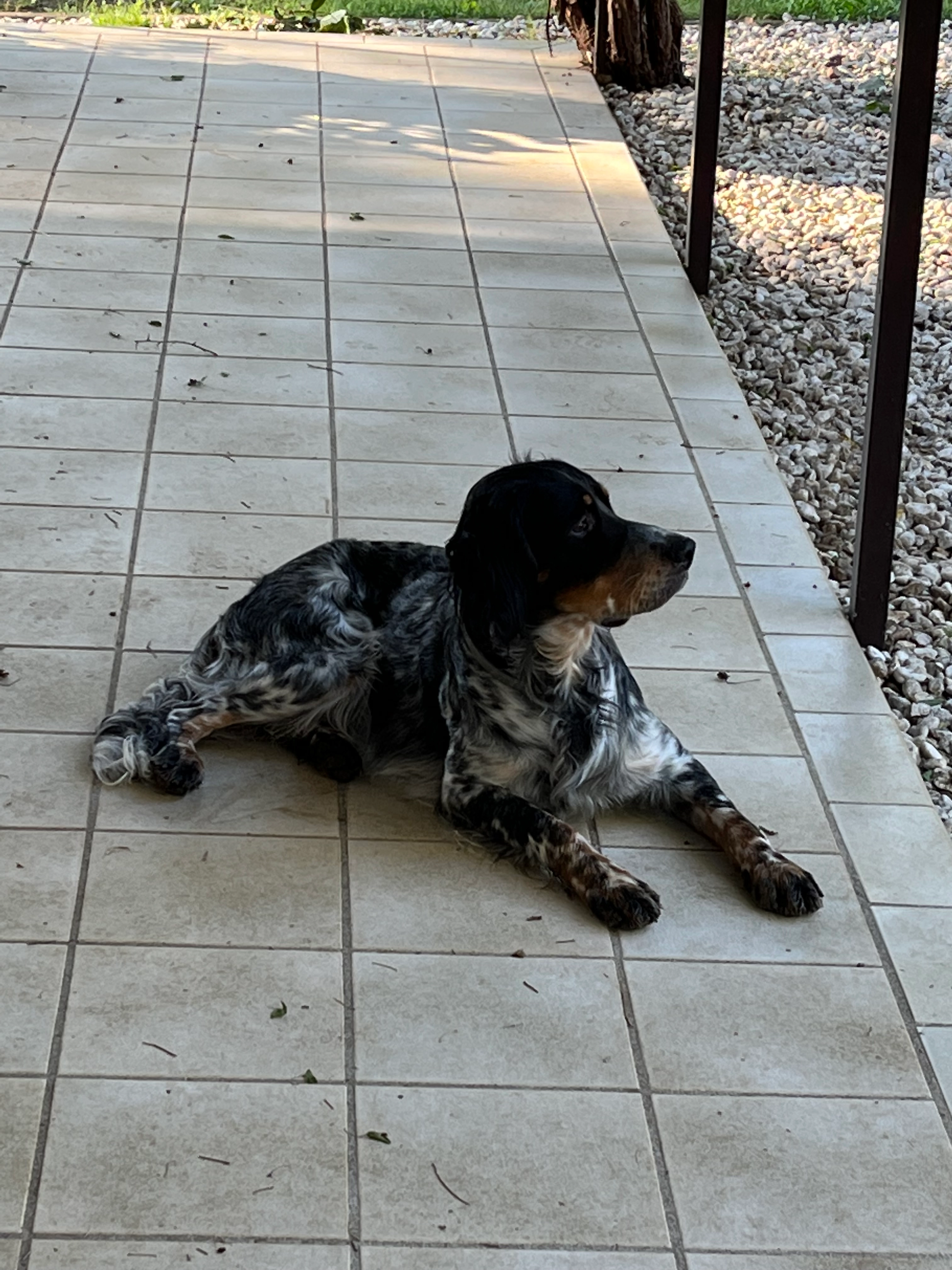 Titou - 2929 Ancienne Route d'Anduze, Nîmes