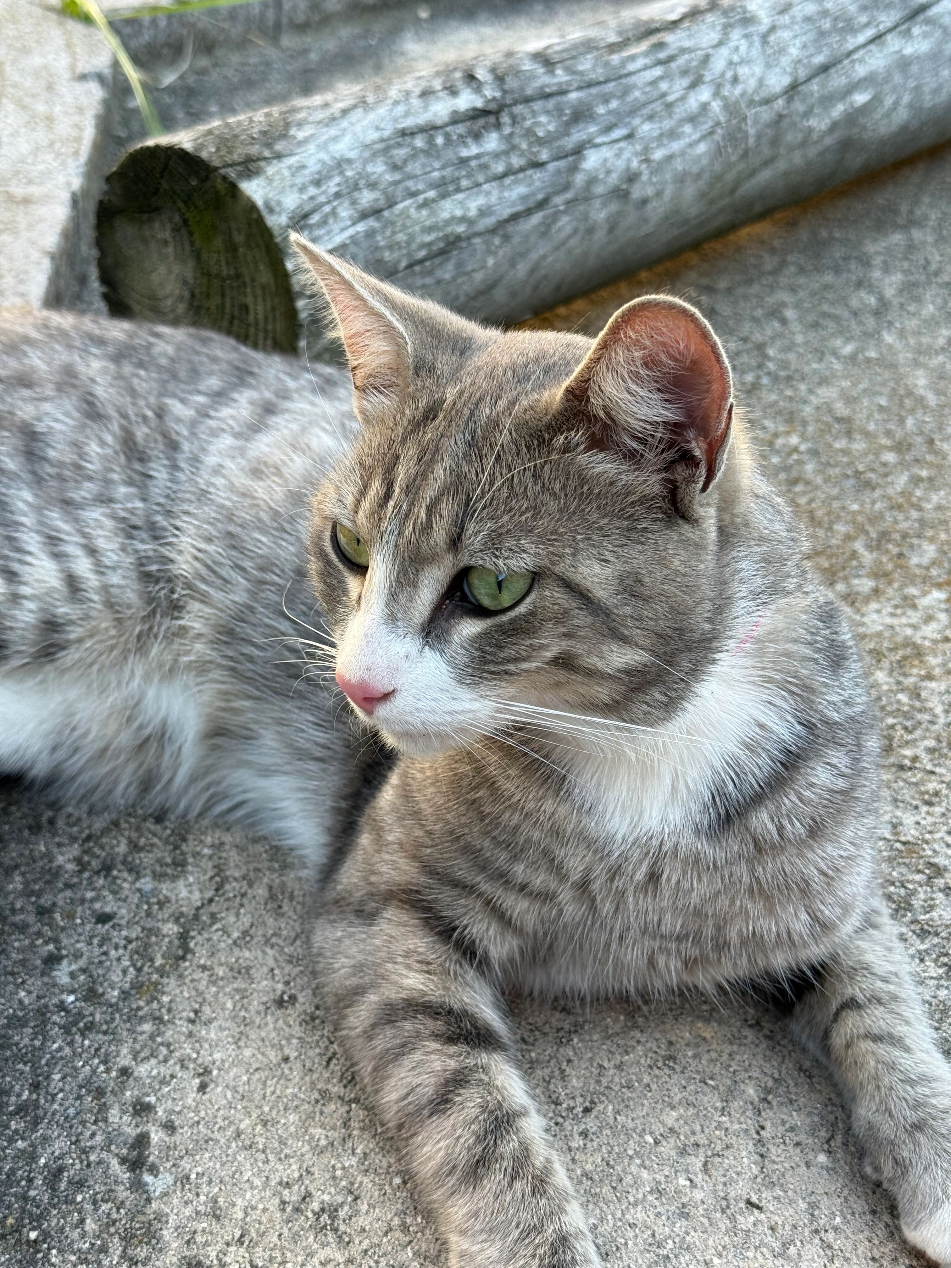 Bartl - Alt-Eglsee, Amberg