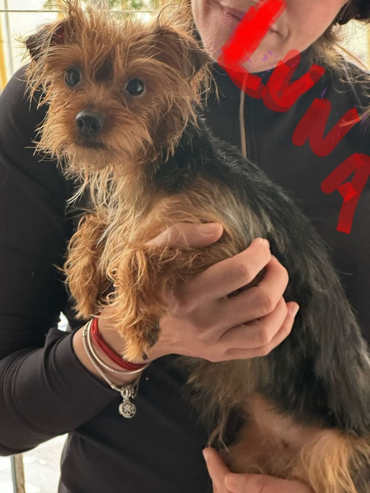 TAES - Avenida de Cádiz, Puerto Real