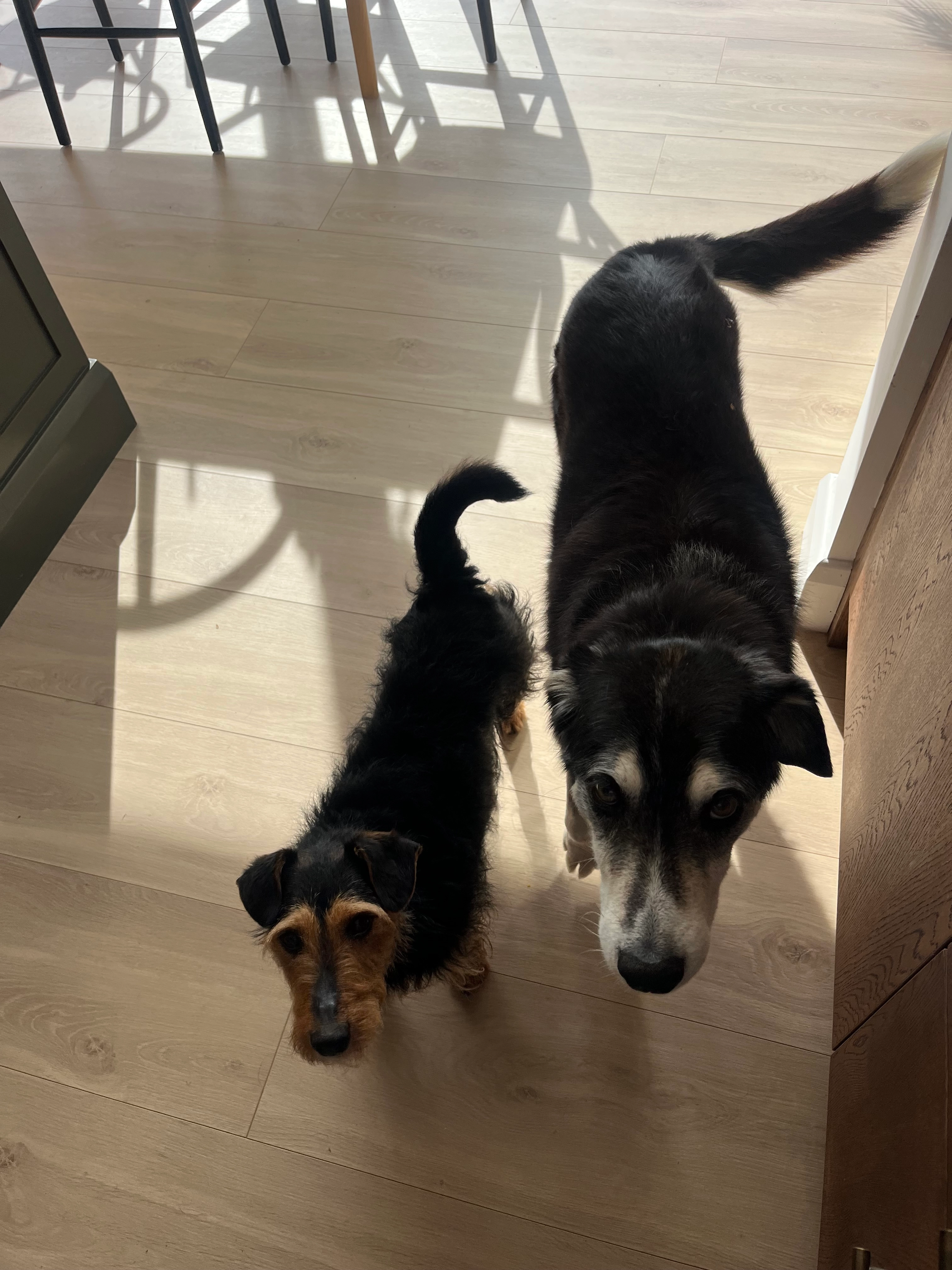 Roxy - Johninstown, Straffan