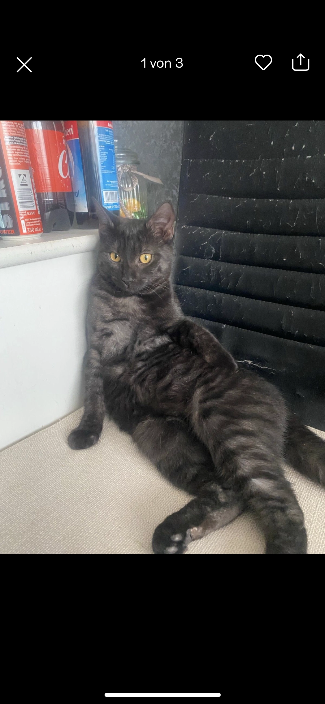 Mimi - Hermann-Mitsch-Straße, Freiburg im Breisgau