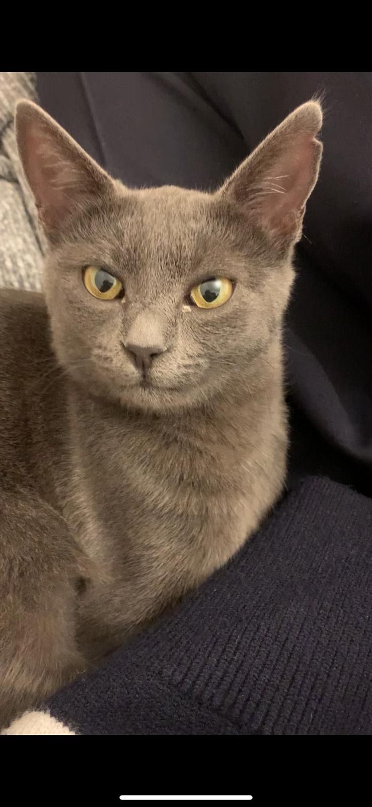 Alyah - Kiebitzdeich 198, Hamburg