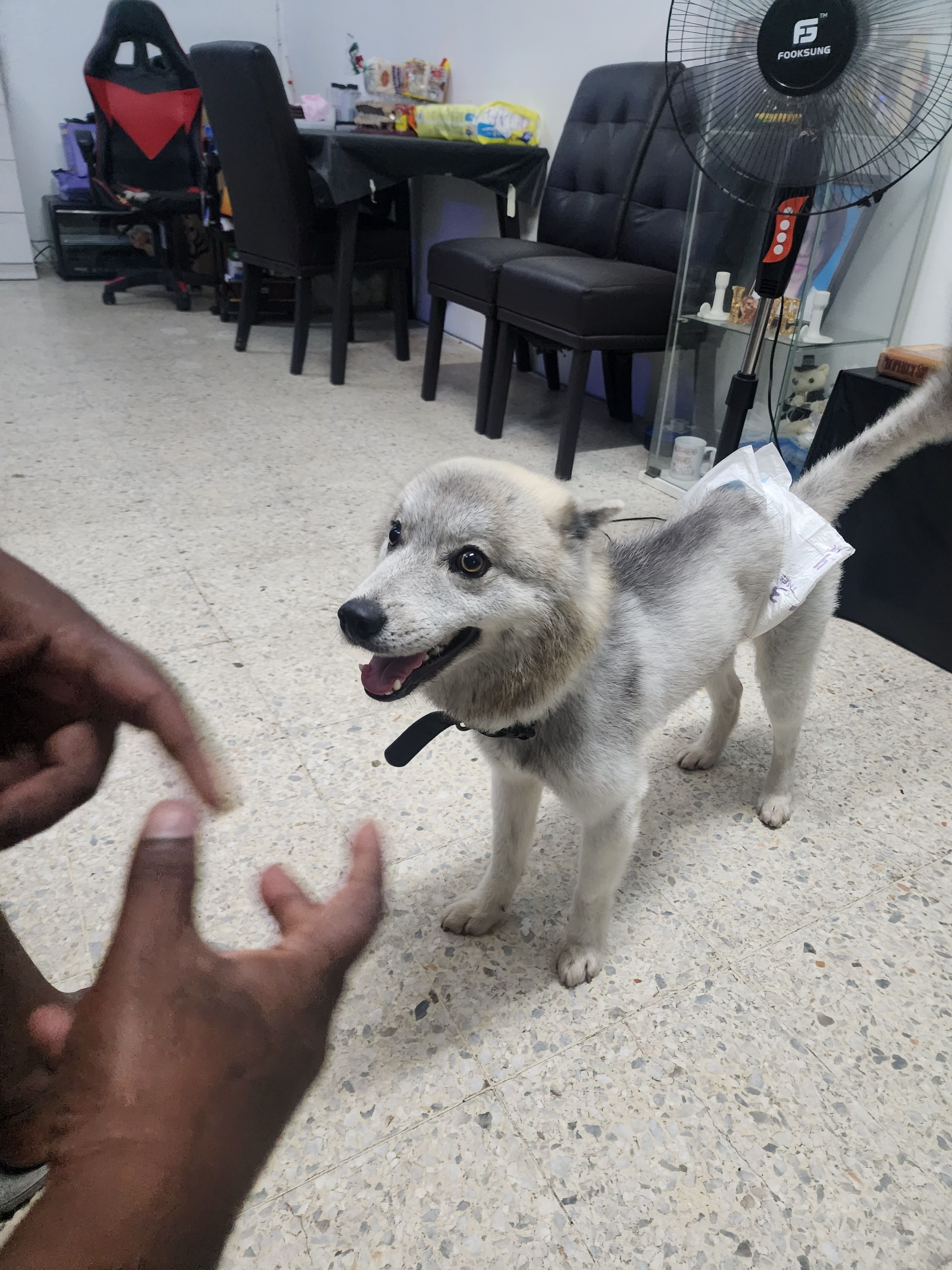 Rolex - Jalan Pandan Indah 4/30, Ampang