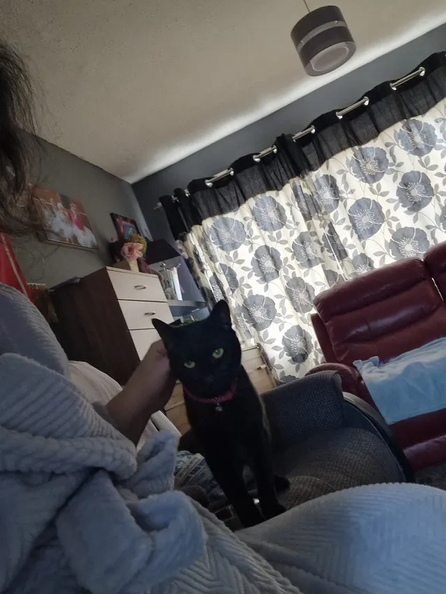 Inkyboo  - Milton Road, Birkenhead