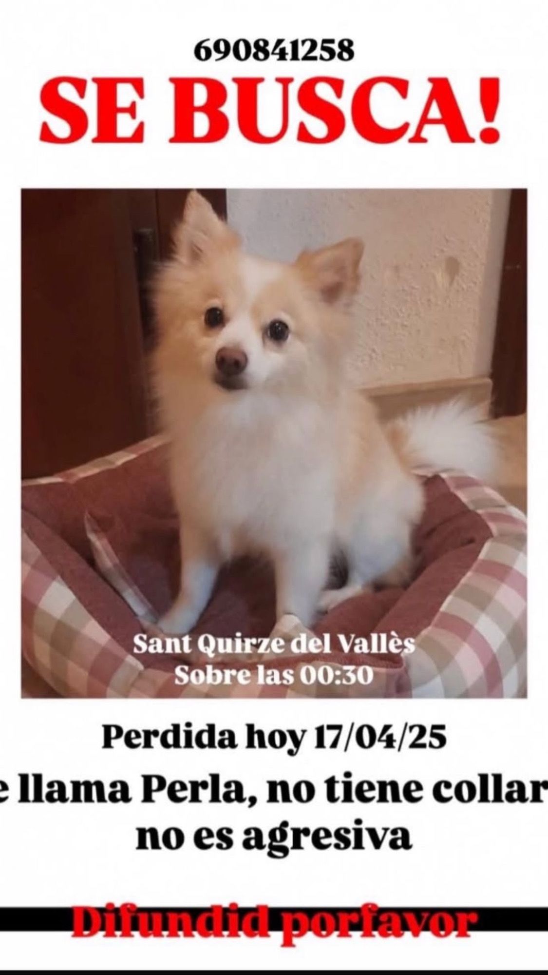 Perla - Camí Dels Monjos, Sant Quirze del Vallès