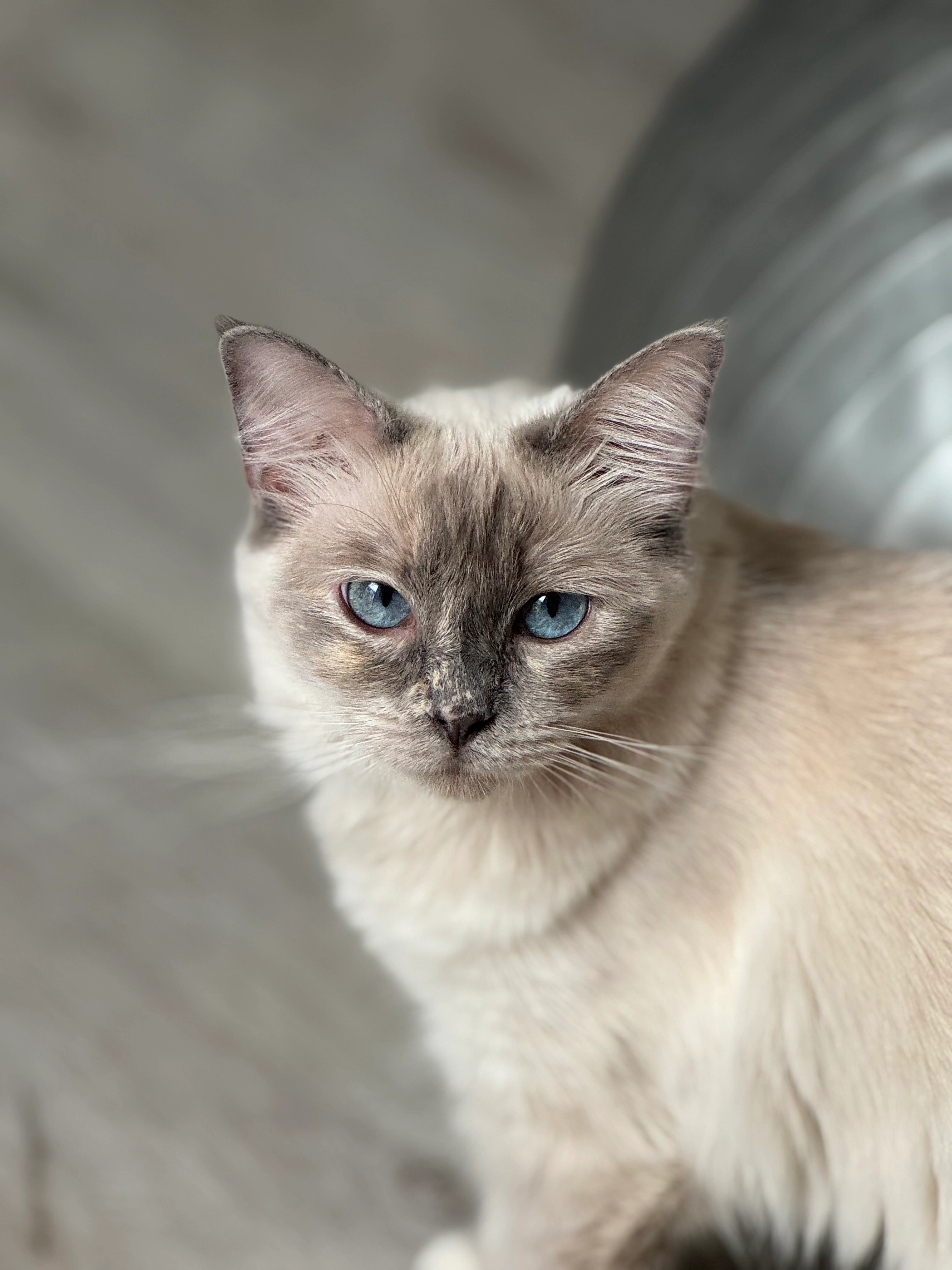 Marnie - New Street, Gloucester