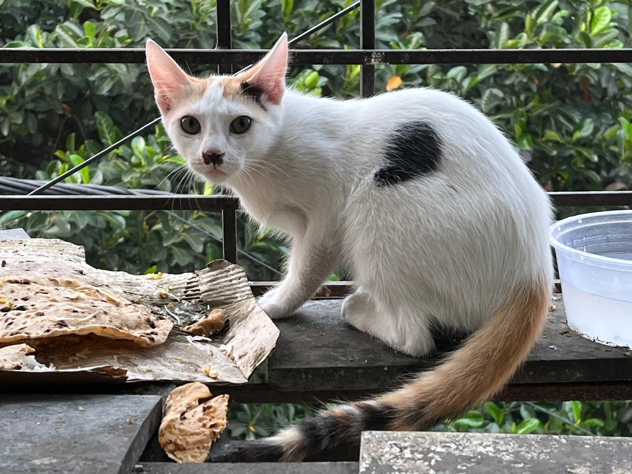 Bhomlu - Nagtala Road, Kolkata