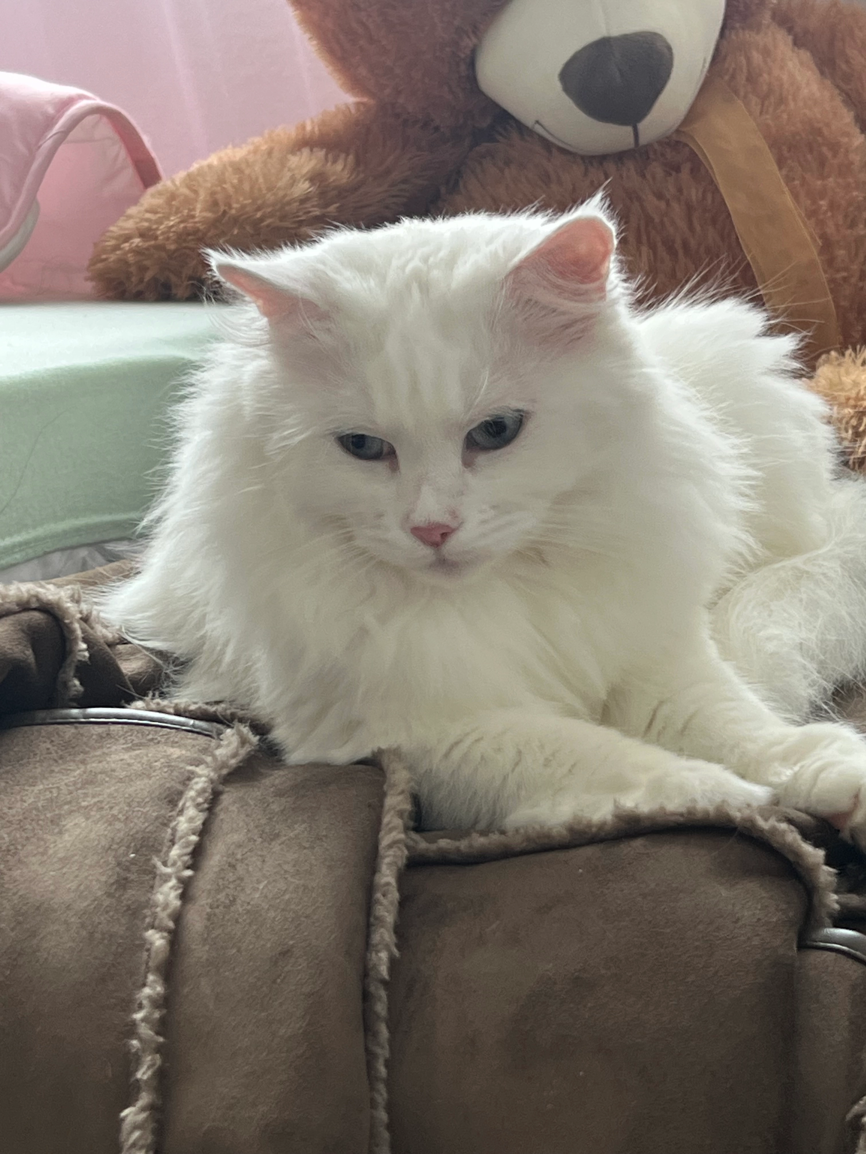 Lili - Ruhseugstraße, Schwandorf