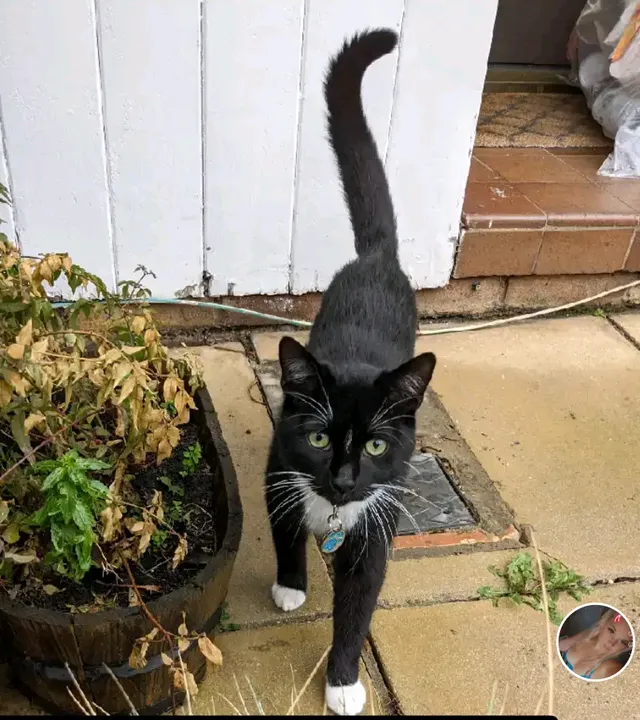 Milo - SW18 5, London