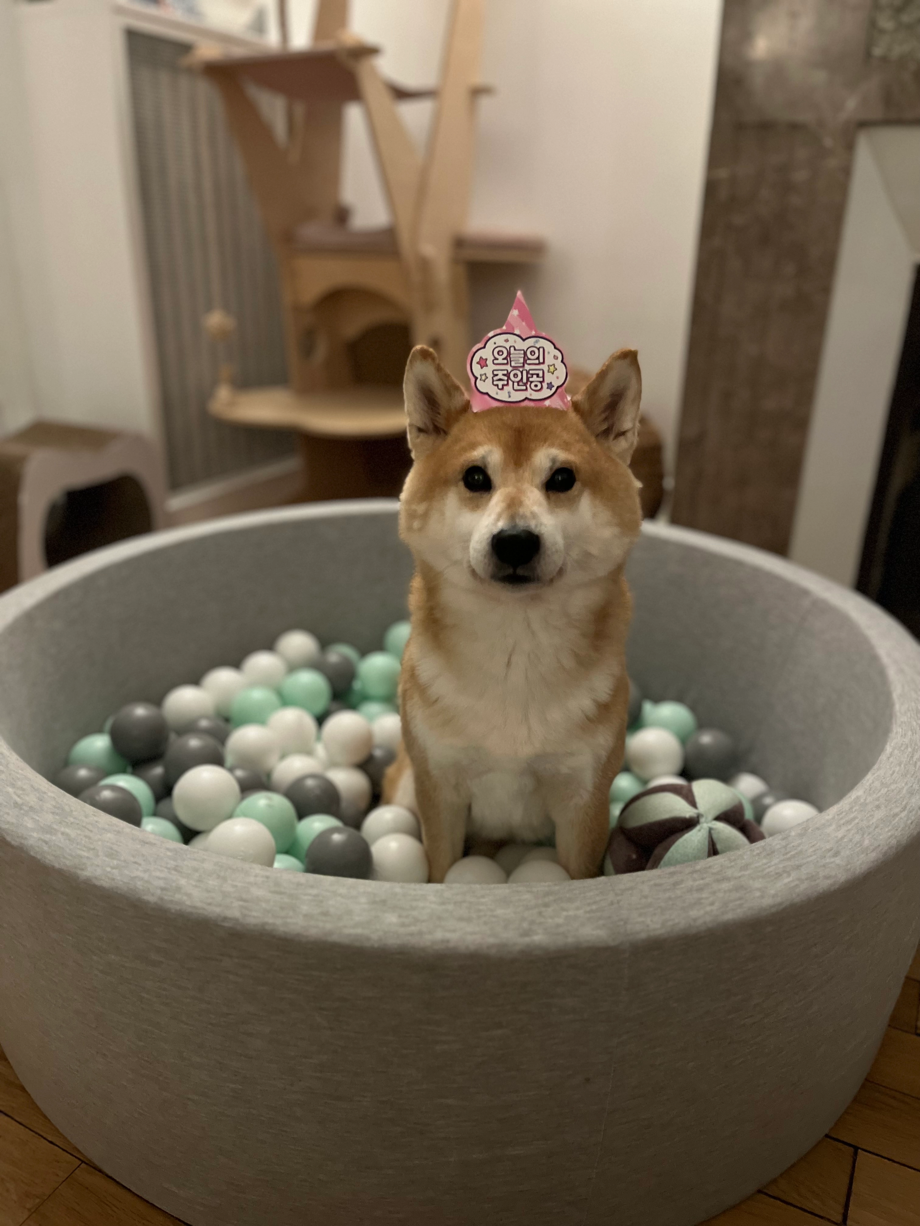 Ichi - 2 Avenue de Versailles, Paris