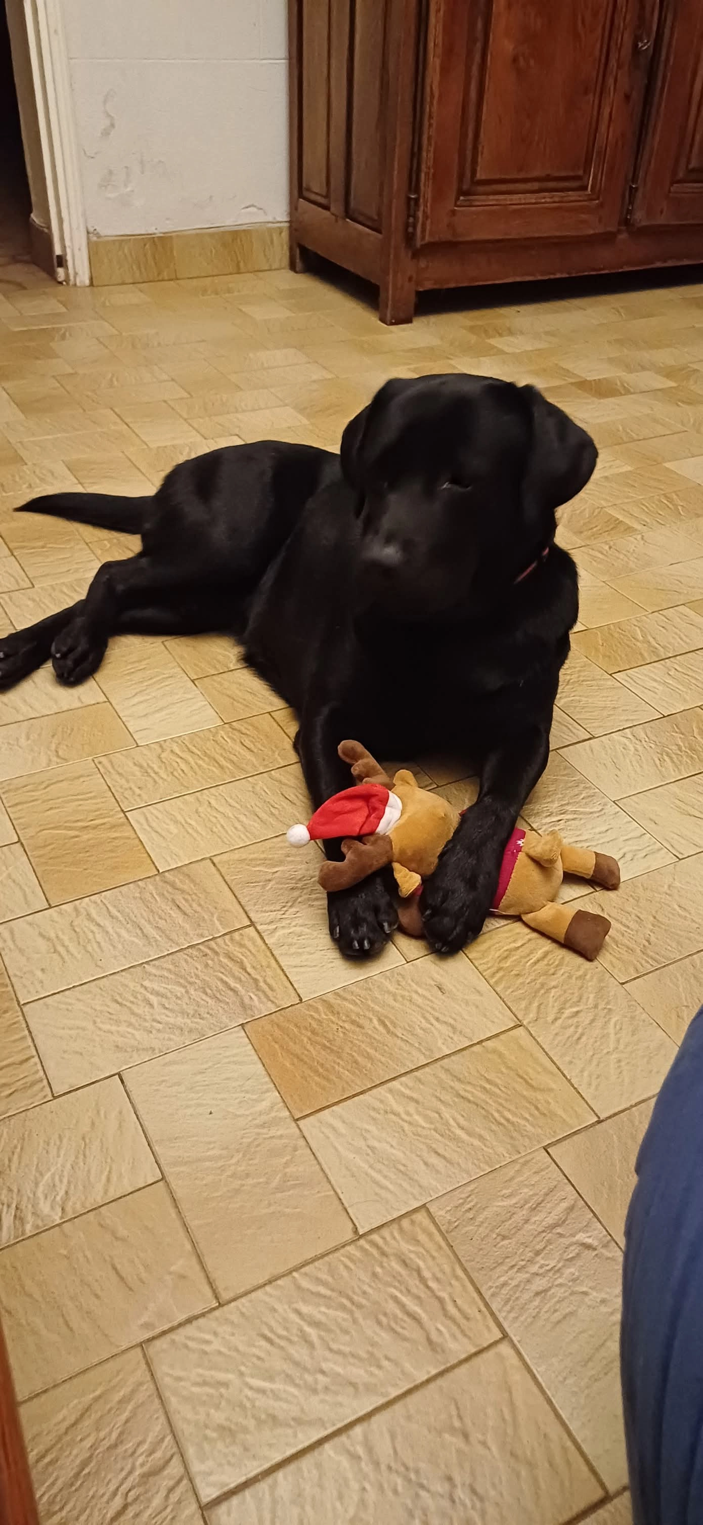 Ursul  - Route d'Avignon, Arles