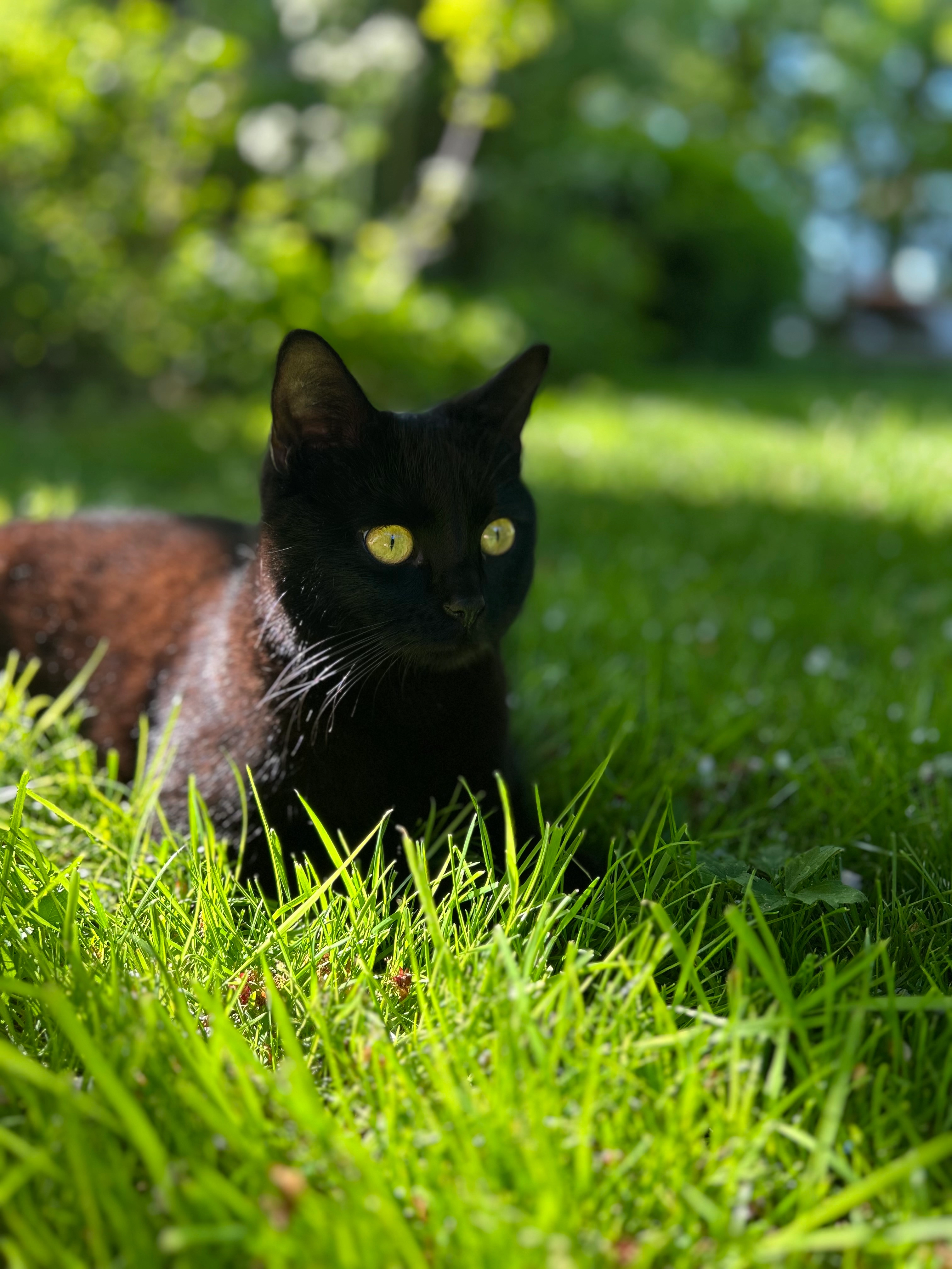 Poekie - Burghornerweg, Noord-Holland