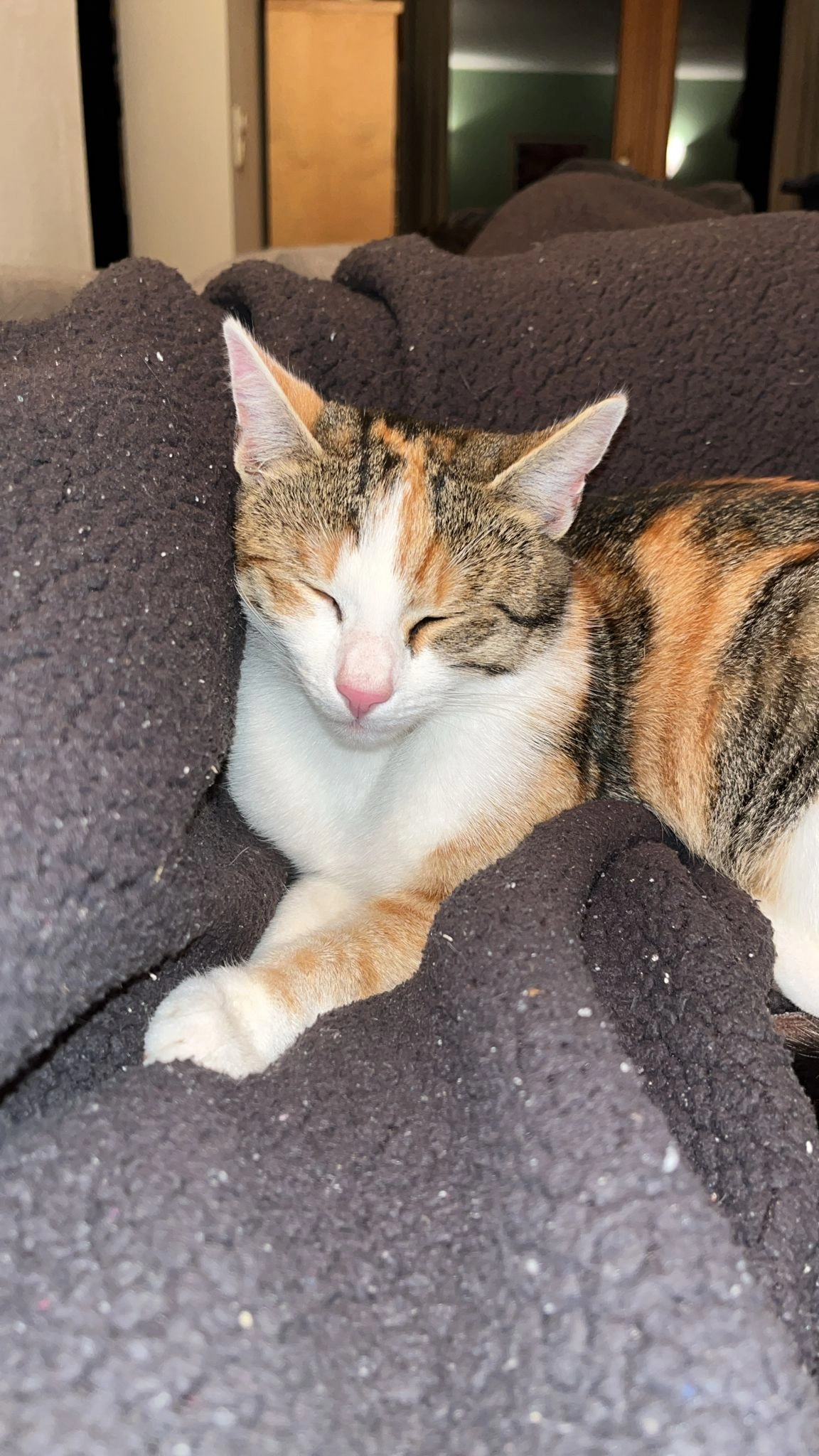 Mia - Schmidhausen, Tuntenhausen