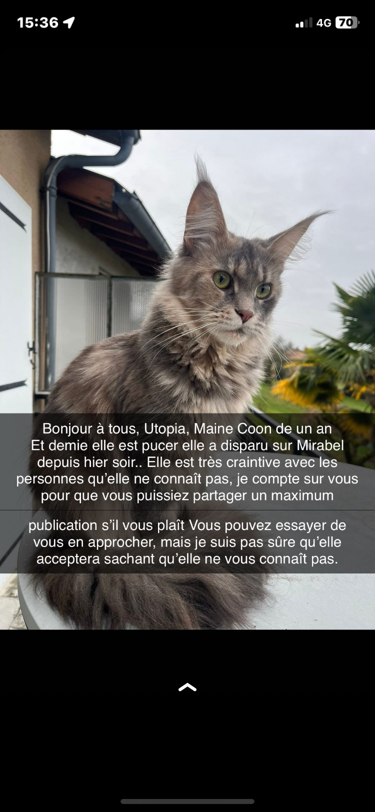 Utopia  - 12 Rue du Château, Mirabel