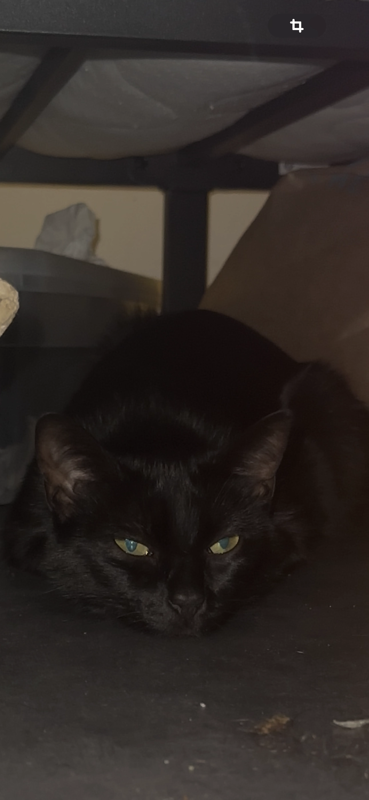 Billie - 47 Rue de Roussel, Cholet