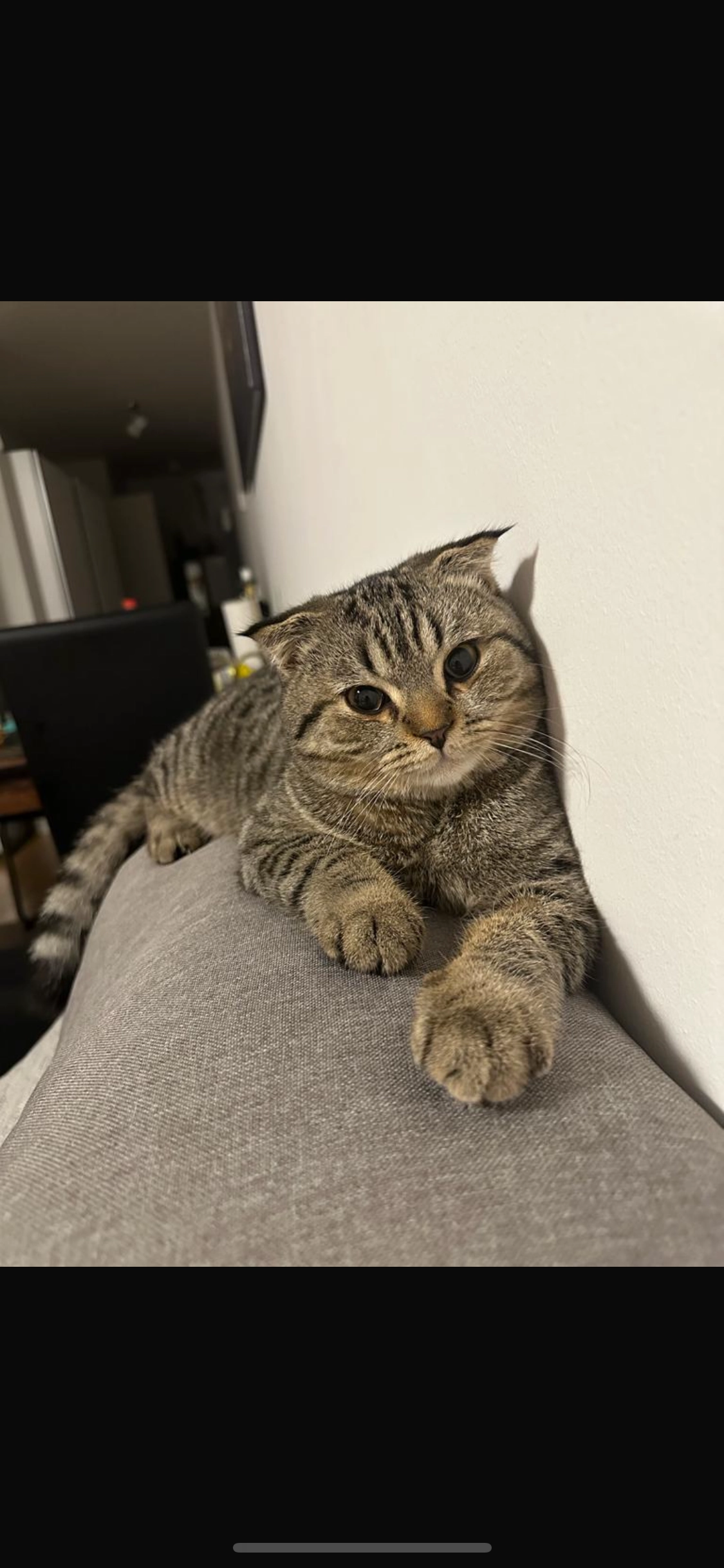 Misha - Schwarzheider Straße 29, Berlin