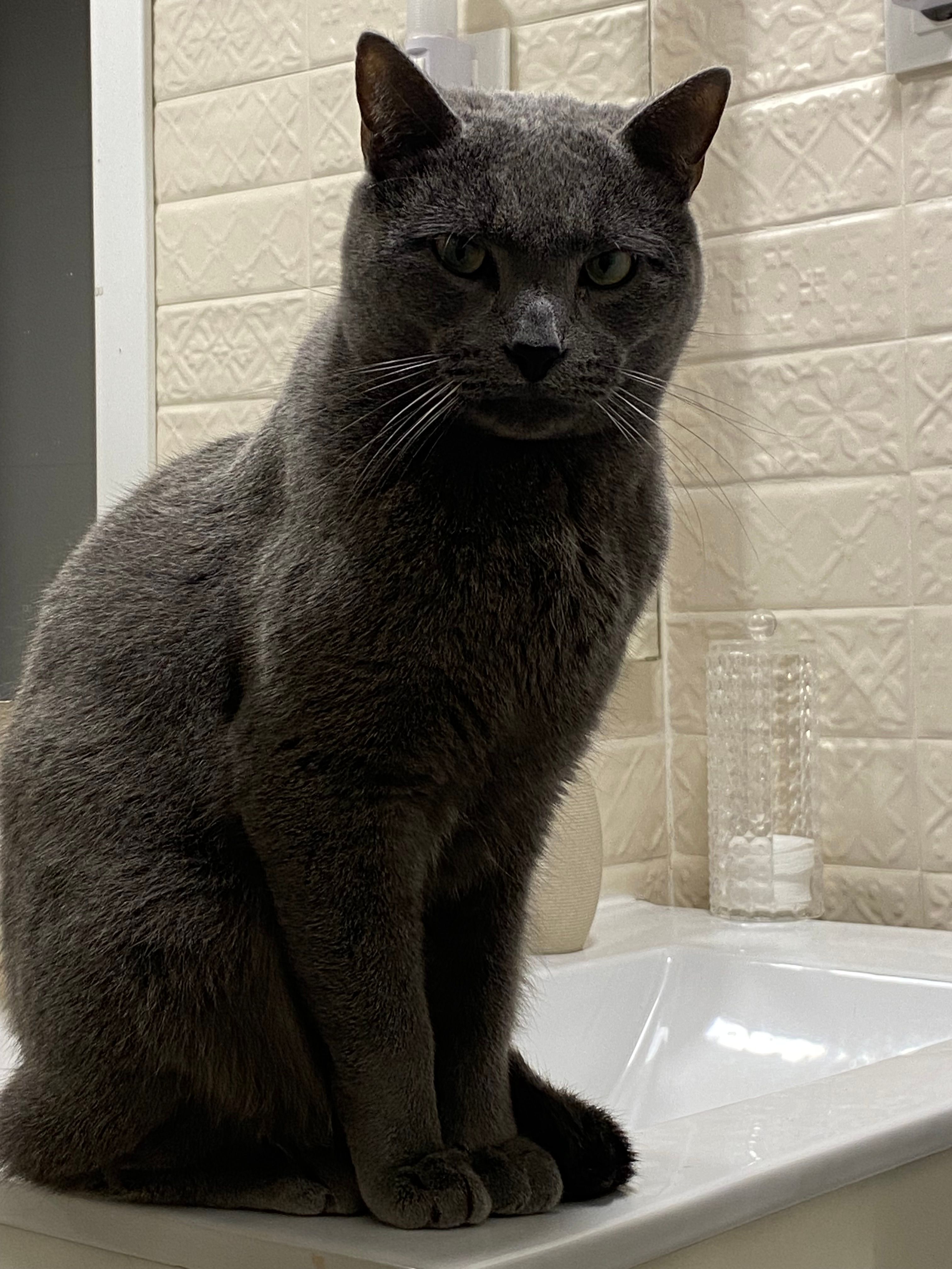 Batman - Calle Huertos 7, Getafe