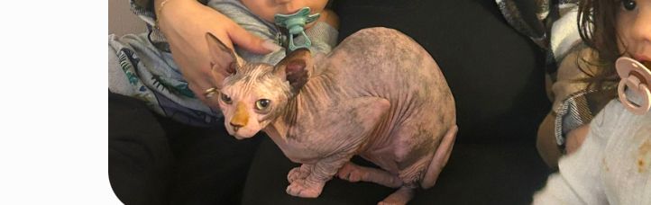 Beki - Krombekestraat 21, Alveringem