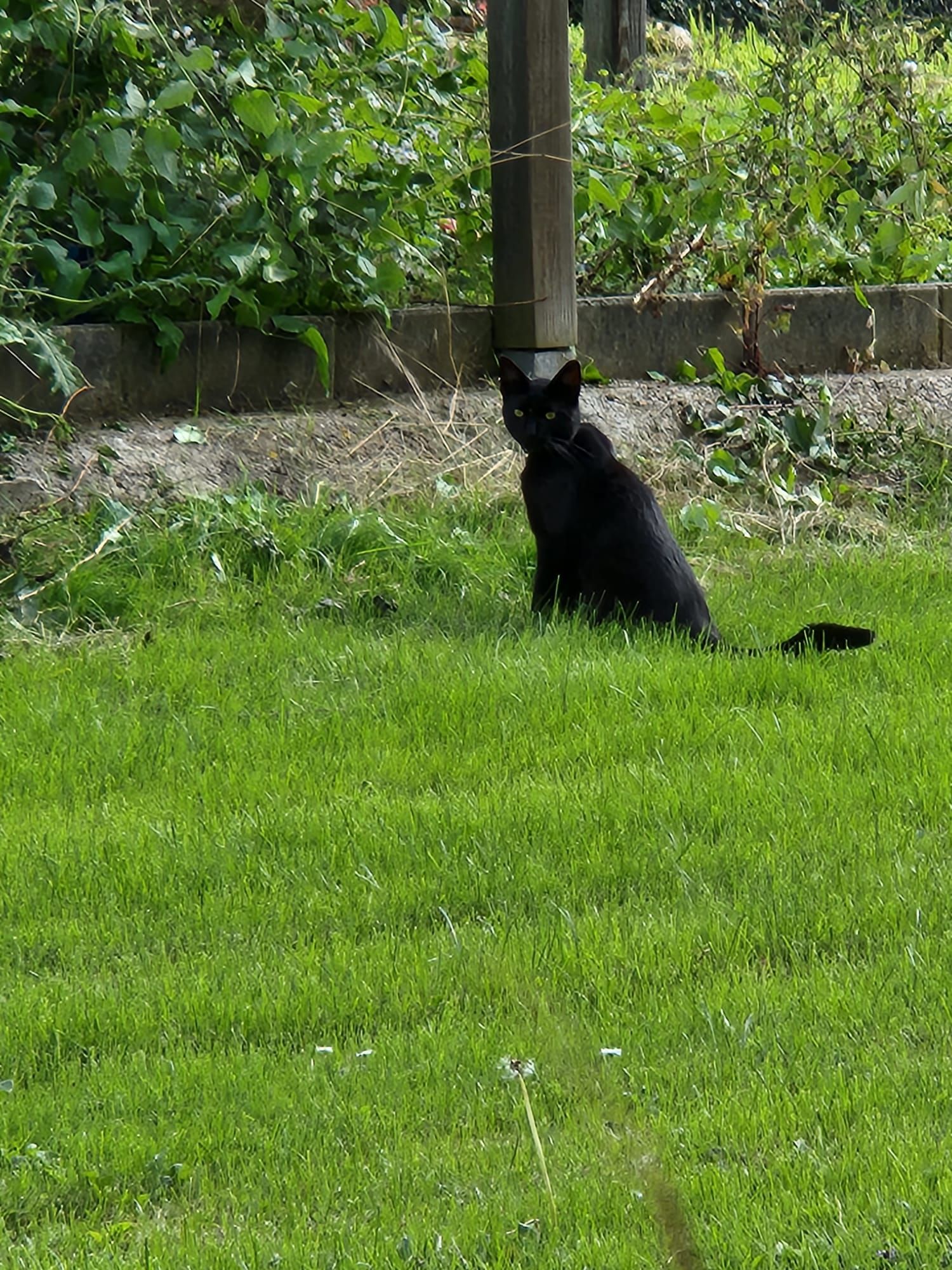 odin - Lange Straße, Derental