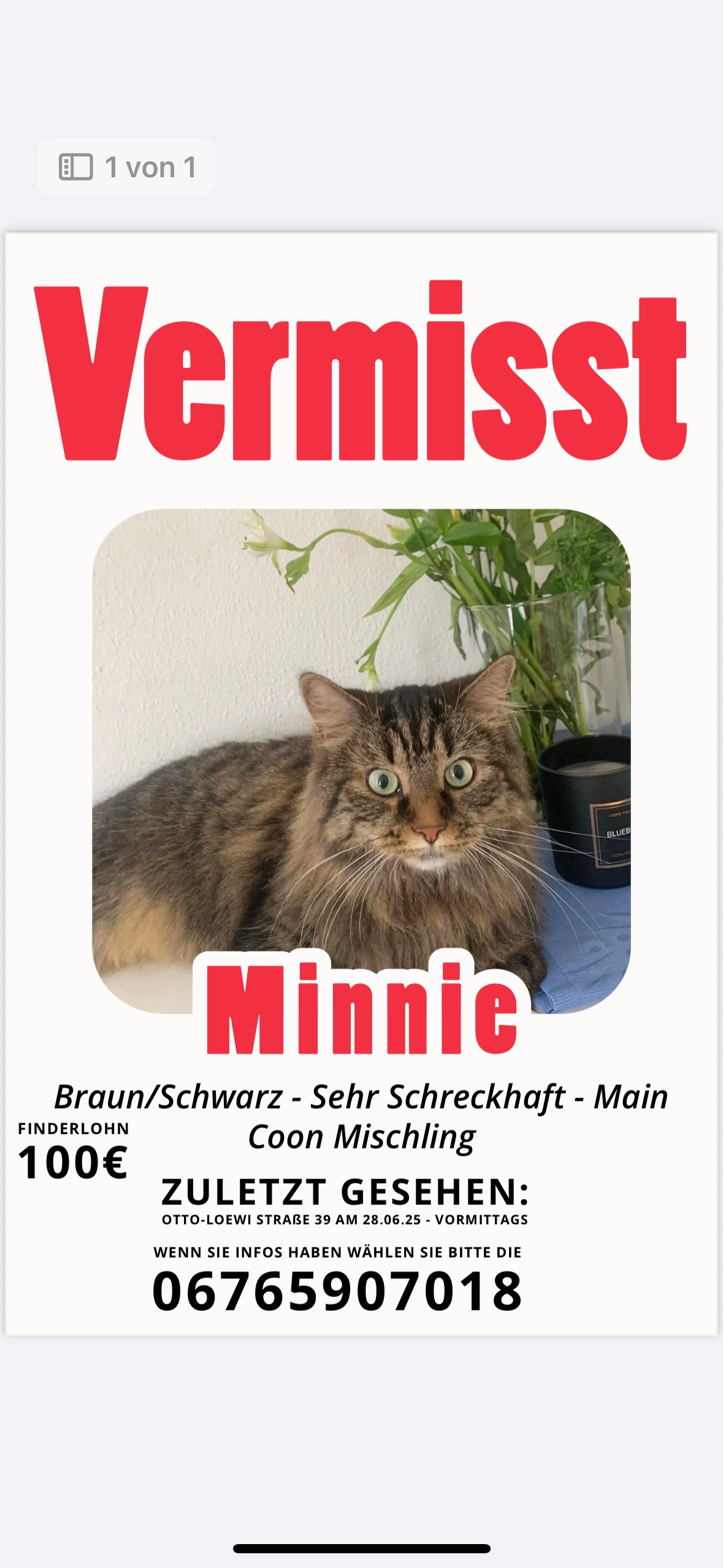 Minnie  - Otto-Loewi-Straße, Wels