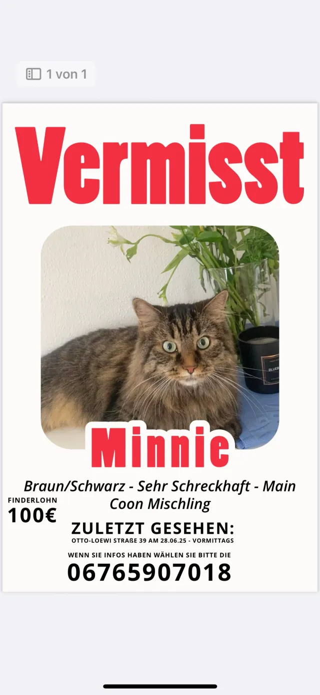 Minnie - Otto-Loewi-Straße, Wels