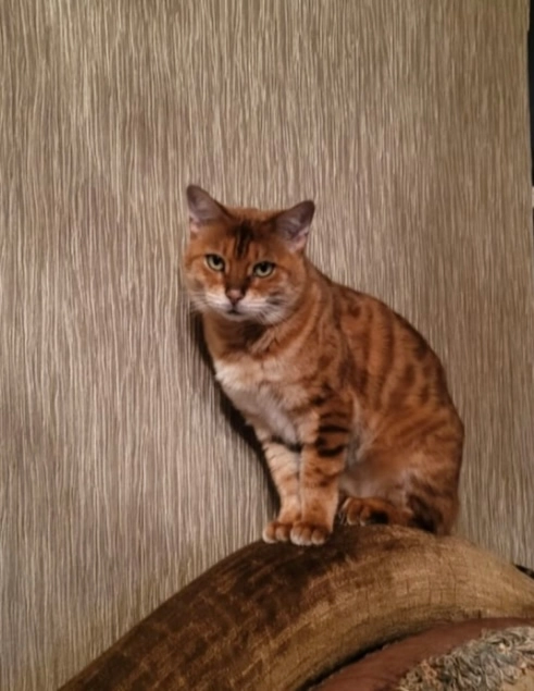 Infinity - In der Hiehl 2, Klausen