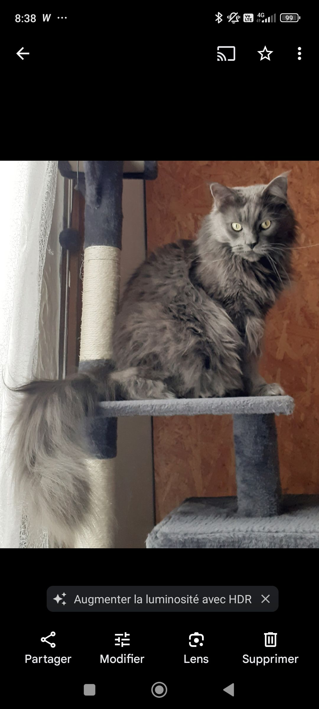 Mimi  - 1 Place des Templiers, Montsaunès