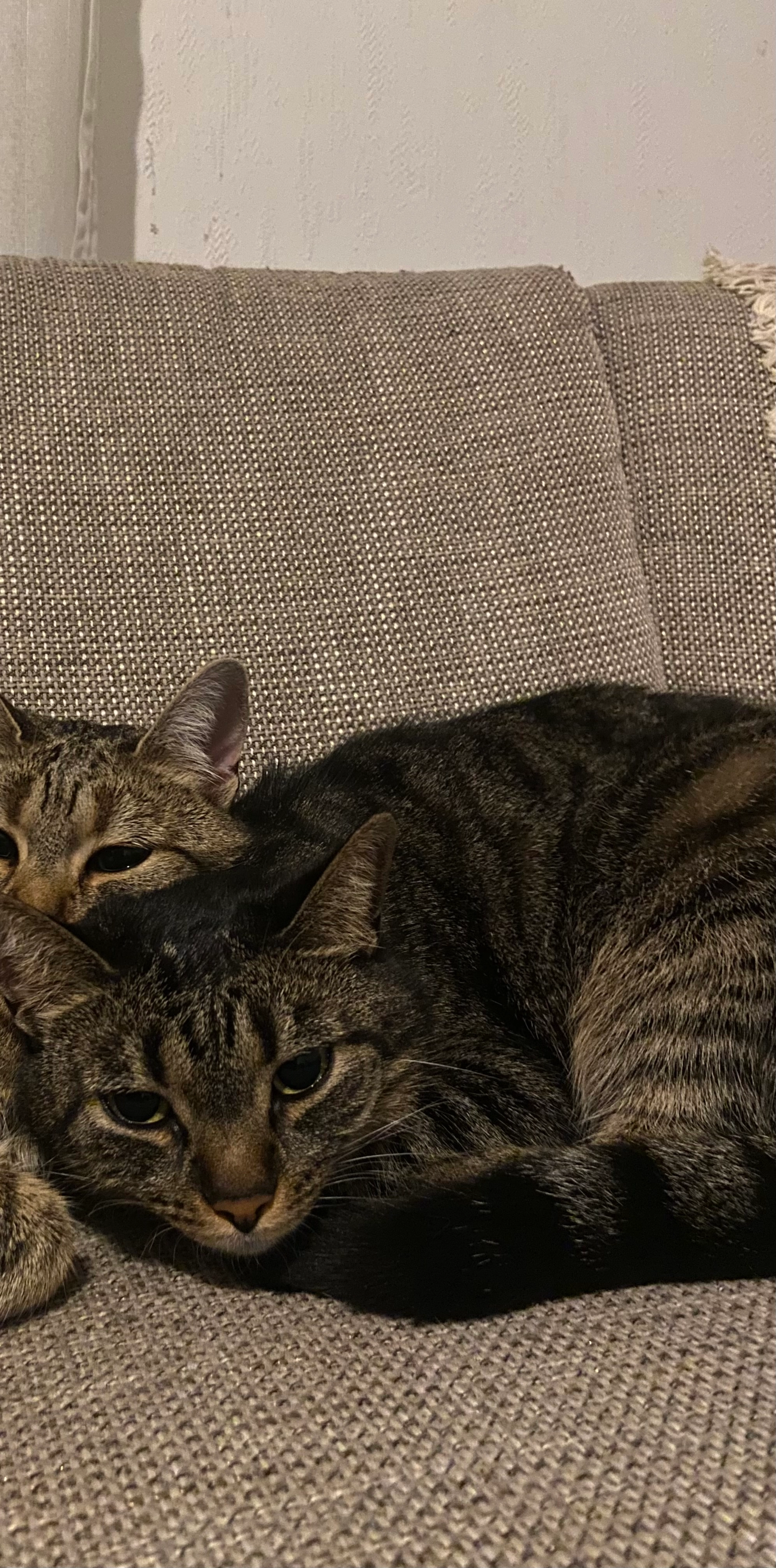 Nour - Schlachthausstraße, Schorndorf