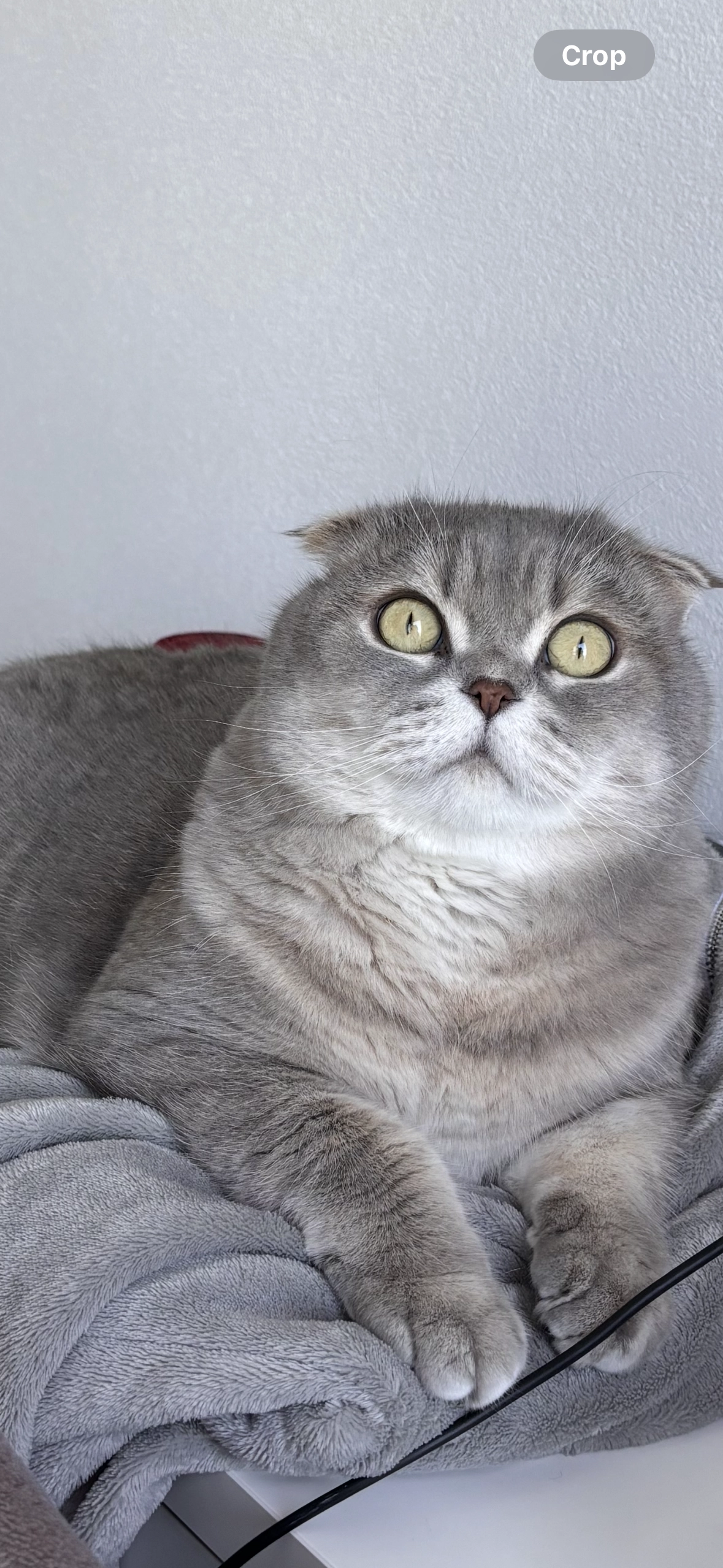 Scooby - Dieselstraße, Pfalzgrafenweiler