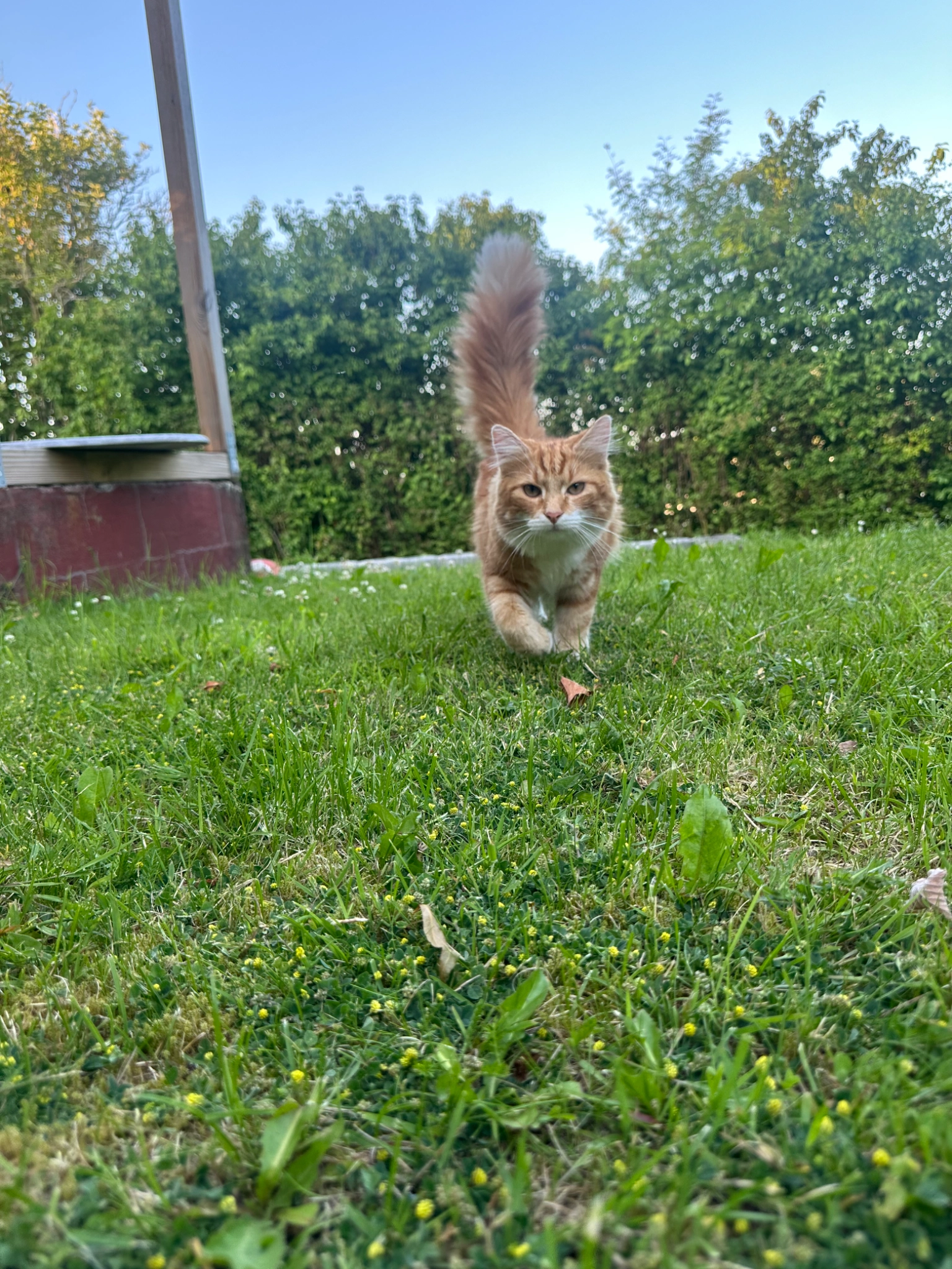 Thor - Pantholm, Slagelse