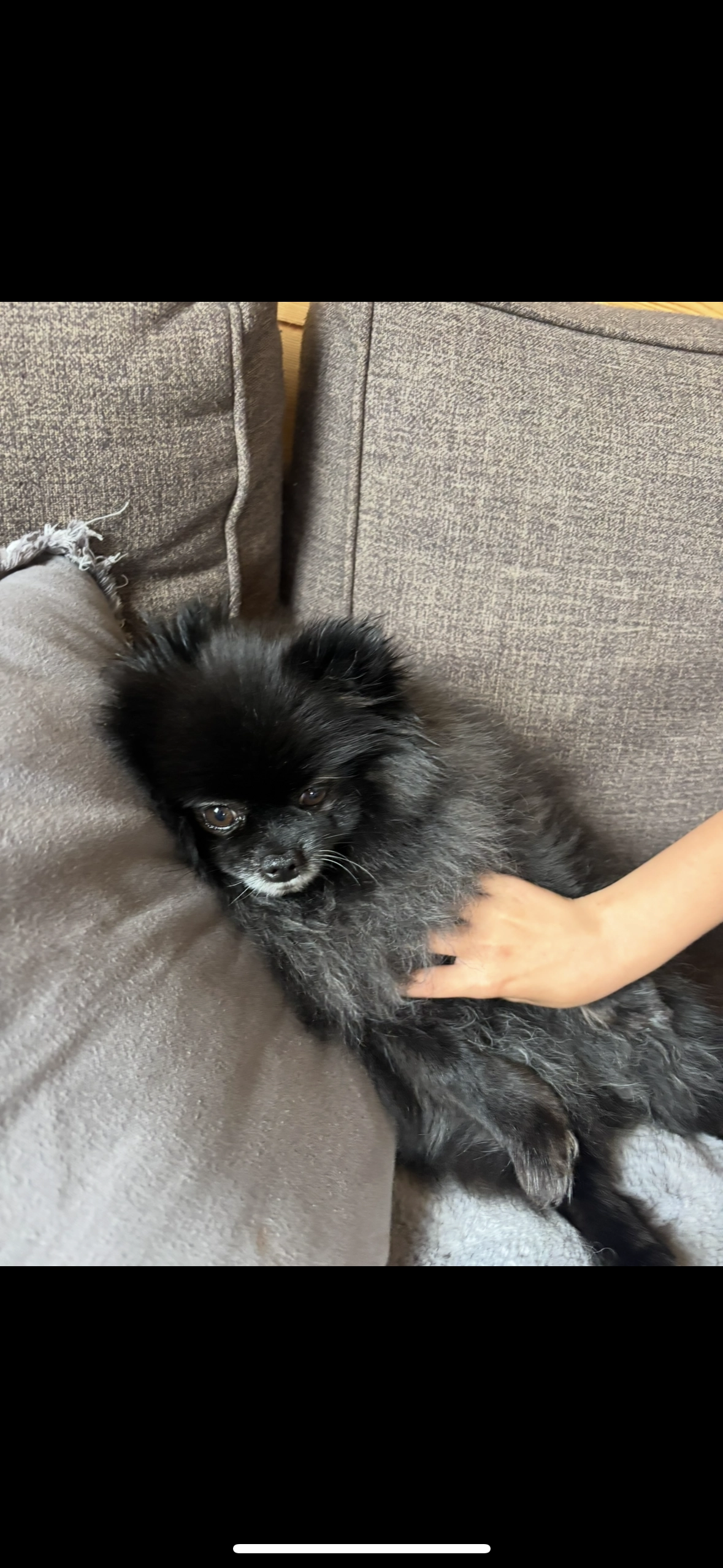 Aya - Chemin De Notre-Dame À Saint-Martin, Agde