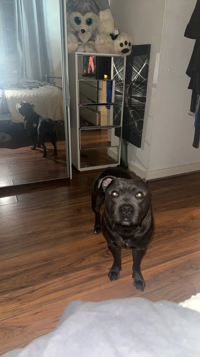 Bleu - Usher Road, London