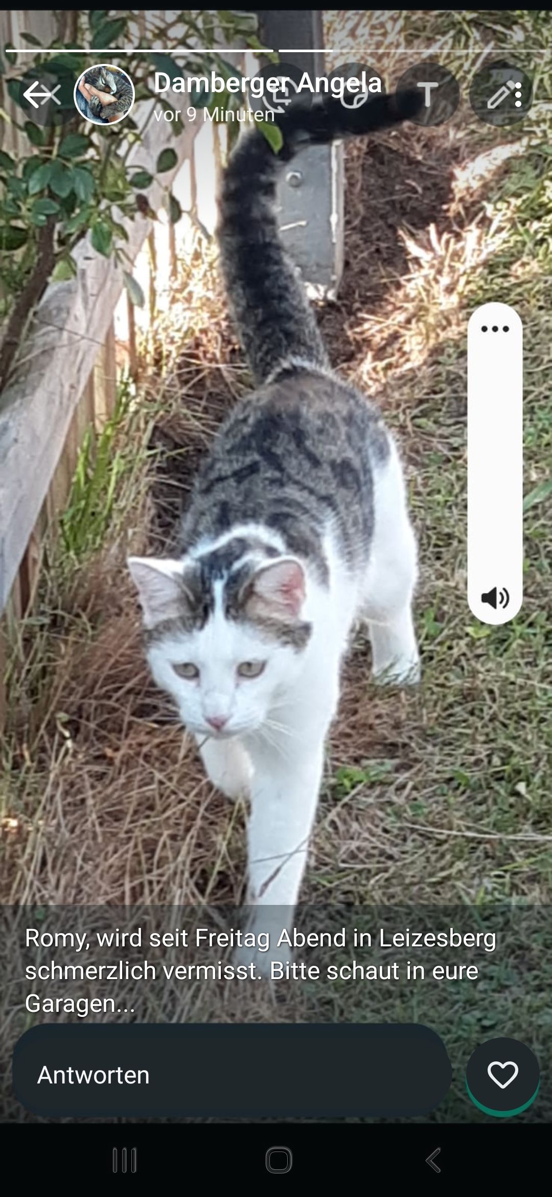 Romy - Kühweg, Untergriesbach