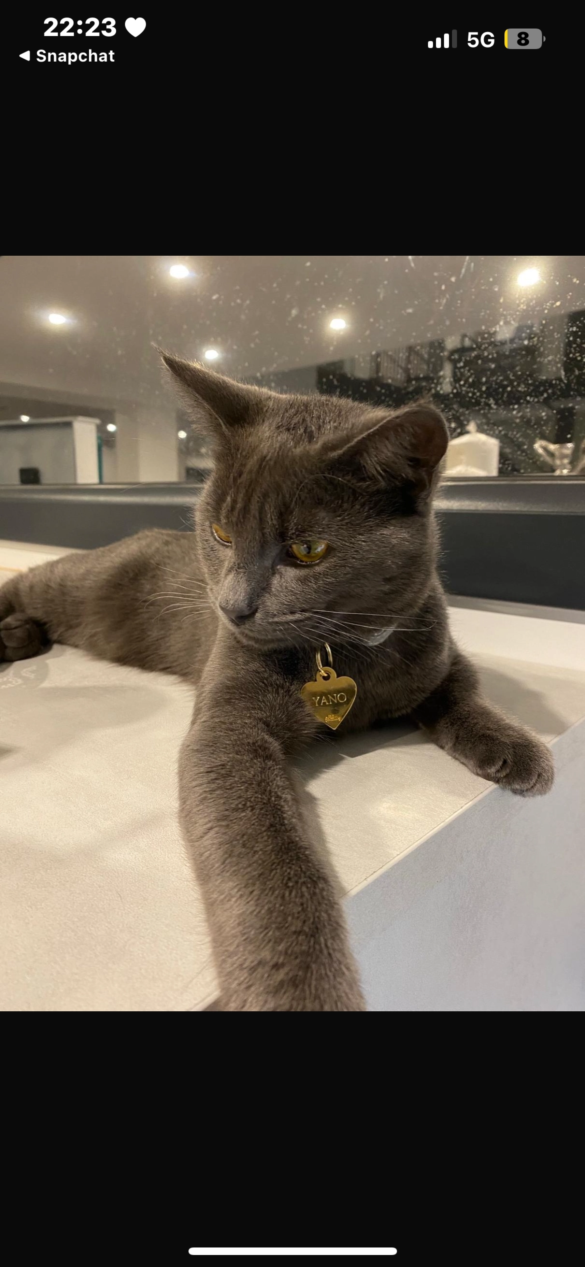 Yano - Chenôve, Chenôve