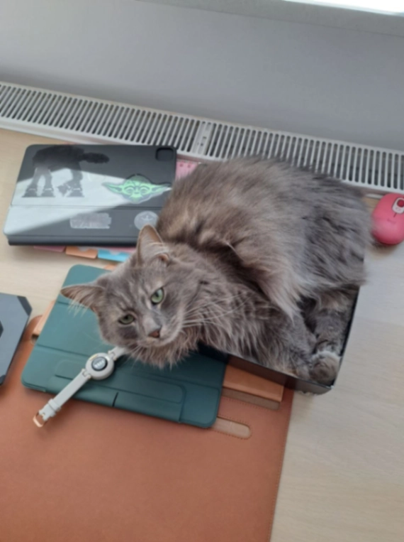 Mars - Panholzerweg, Linz