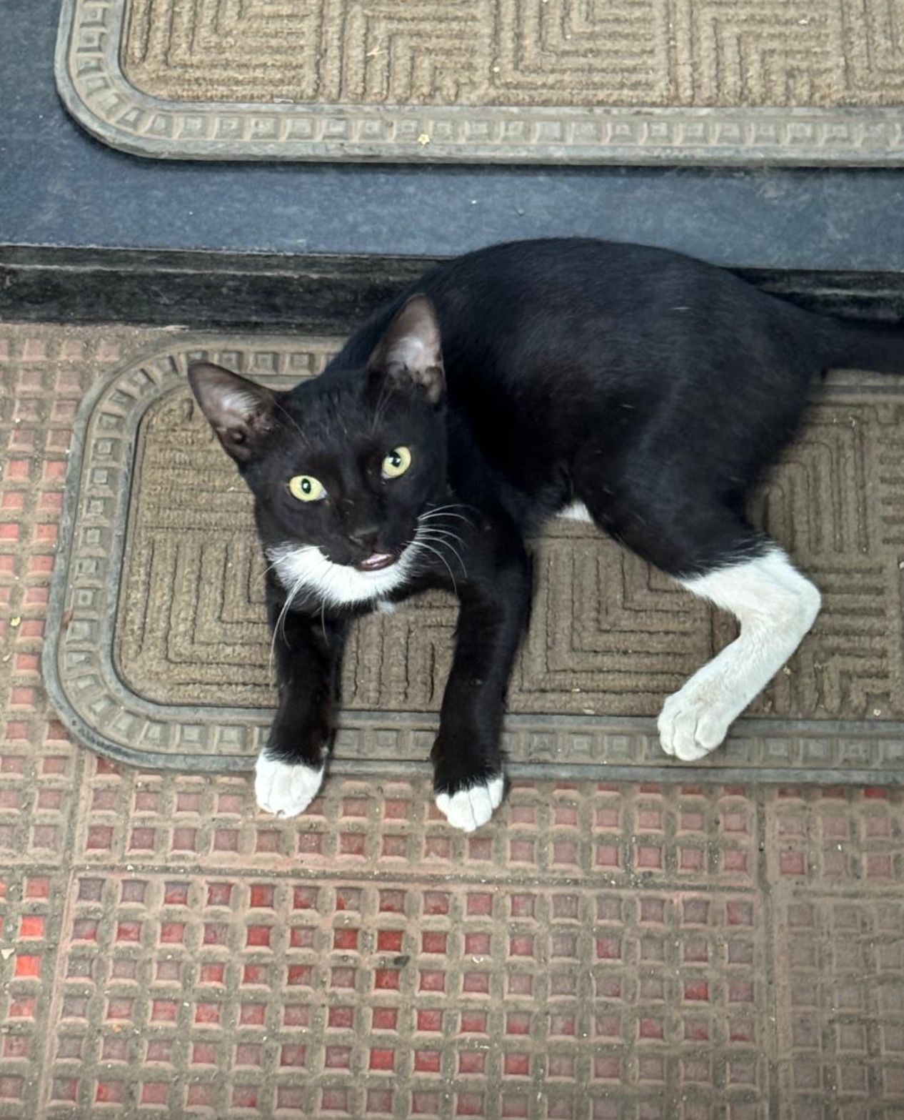 Kitti - Walbhat Road, Mumbai