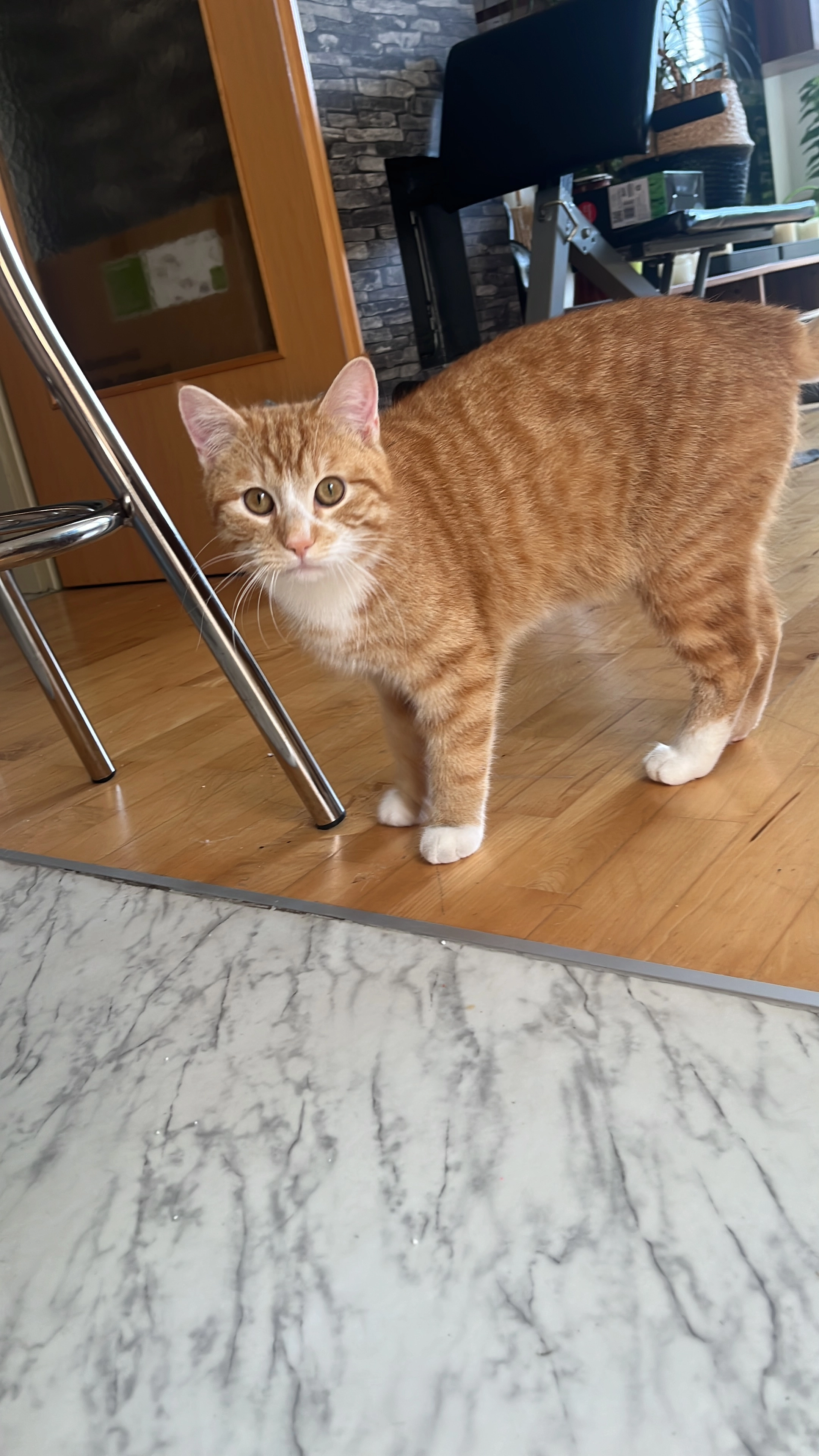 Artur - Doktor-Nemec-Gasse, Gänserndorf