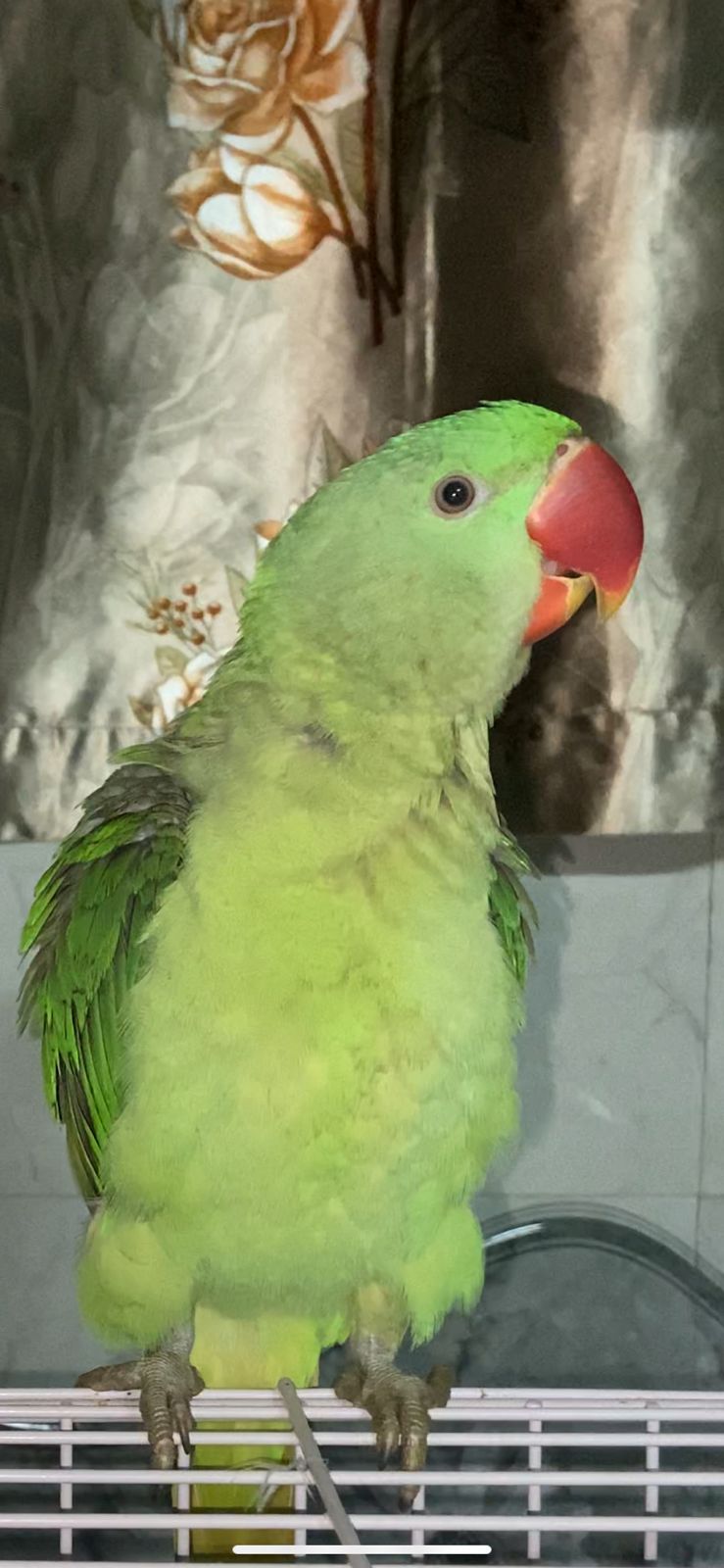 Perrot - Riverfront Road, Ahmedabad