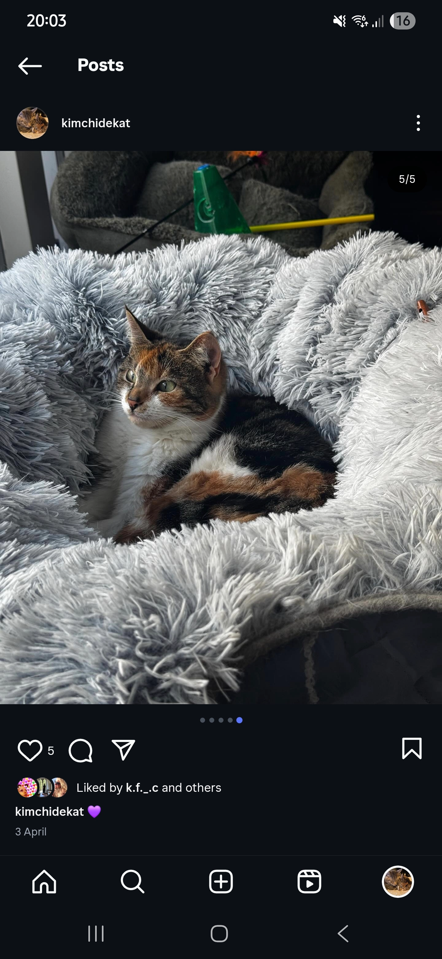 Kimchi - Om de Lande, Enkhuizen