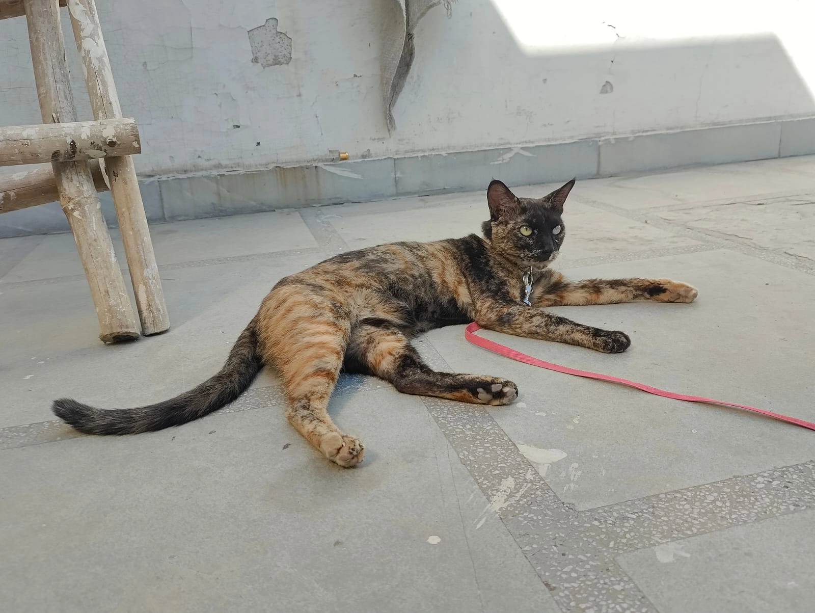 Mau - Jail Road (or Shaheed Bhagat Singh Marg), New Delhi