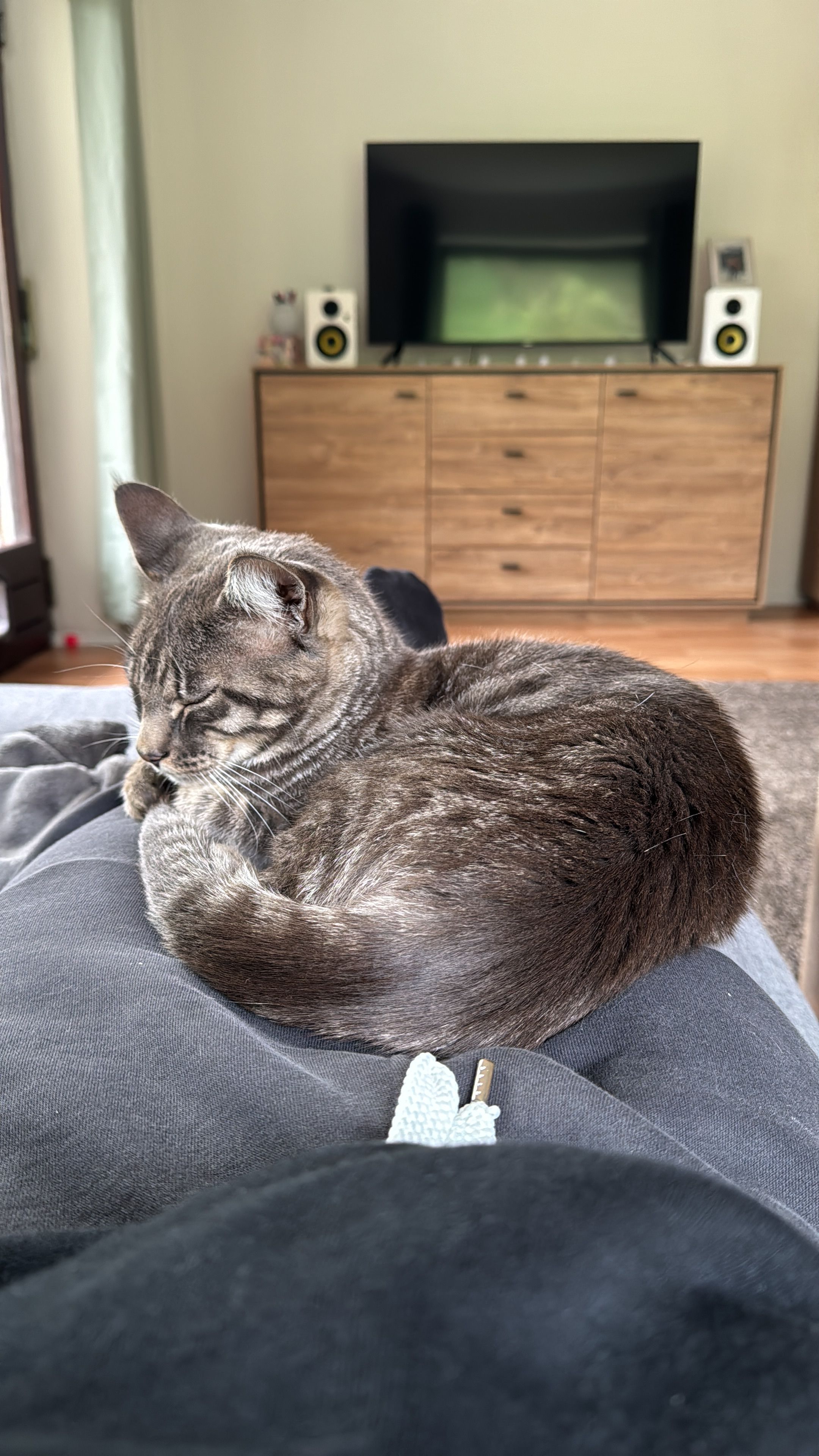 Mogli - Ramecker Straße, Huglfing