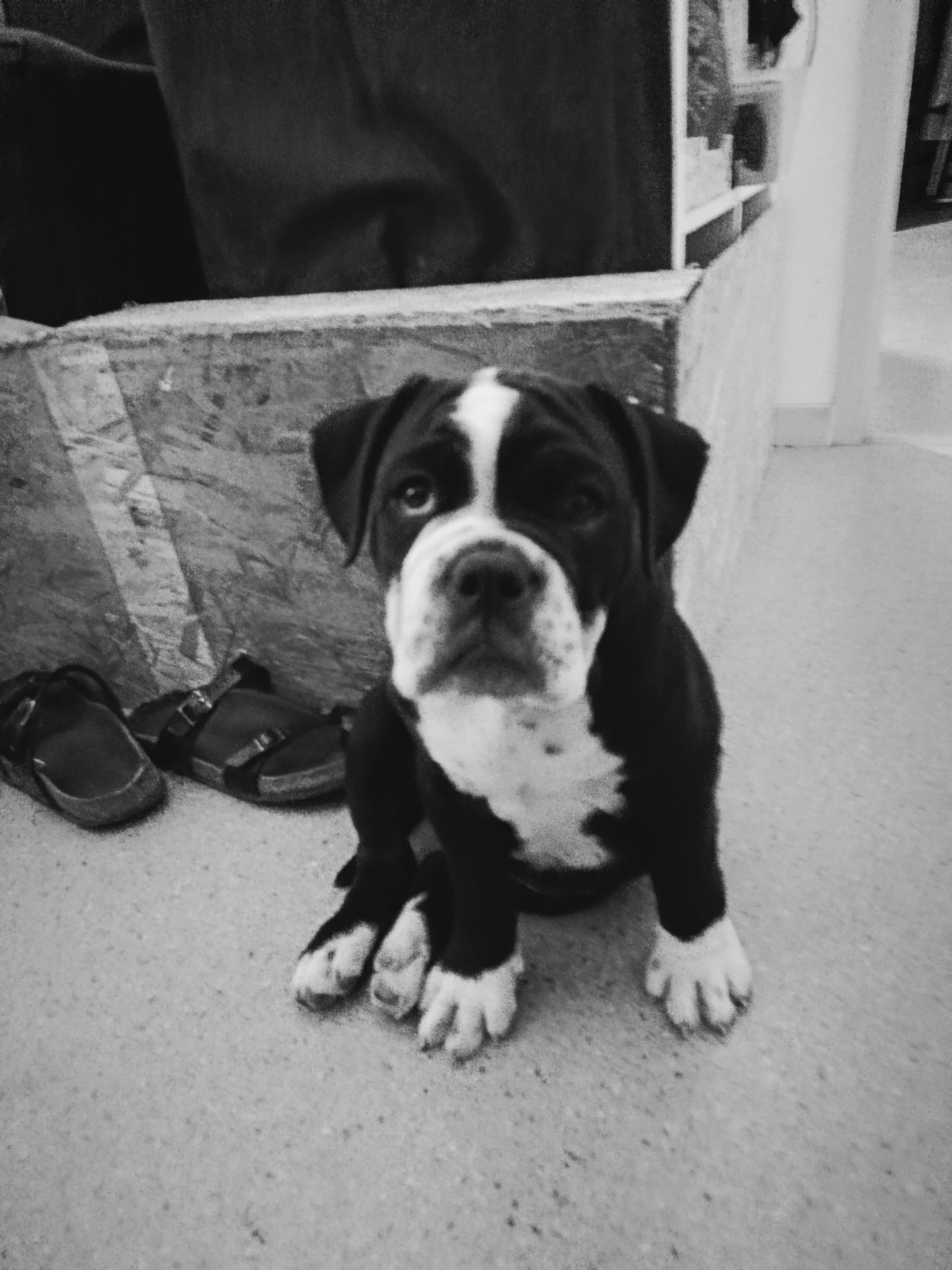 Onix - Chemin Des Gayets, Pontcharra